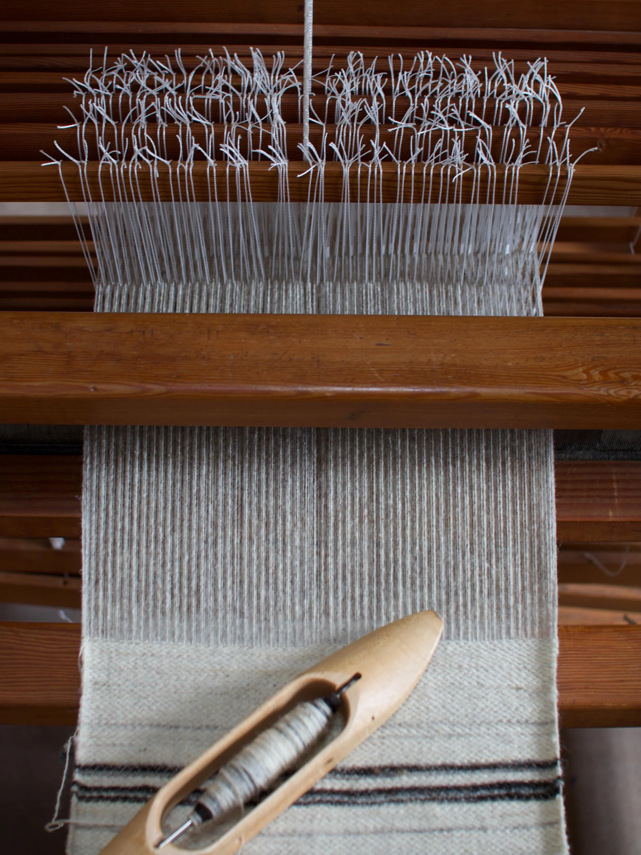 My first floor loom, an 8 shaft George &amp; John Maxwell countermarch loom. 

I bought this loom back in 2024 thanks to @texplusuk, an amazing organisation set to help textile graduates, after winning their Helga Goldman Award. 

Photographed in my 