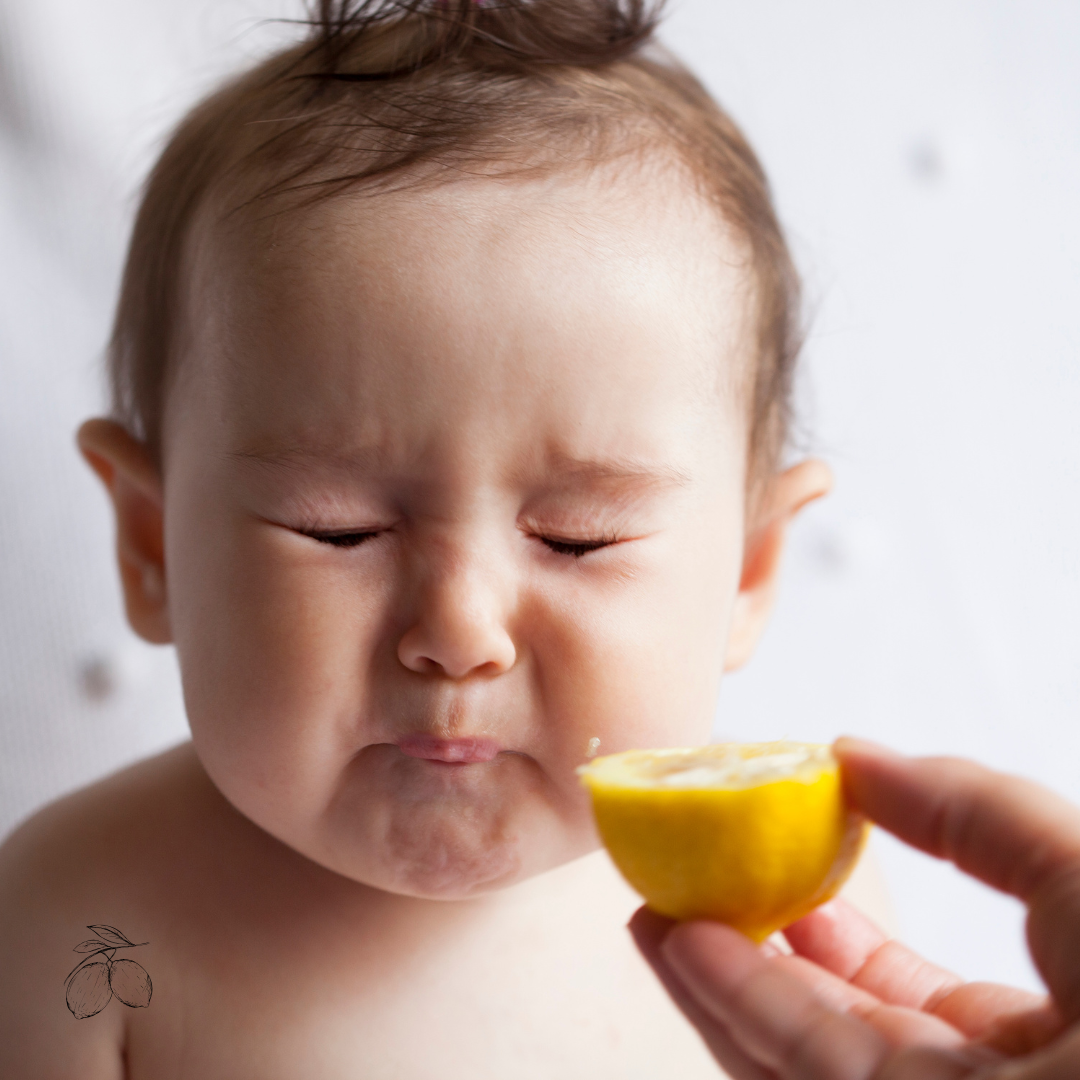 Mad til baby 6 måneder - uden stress og mos