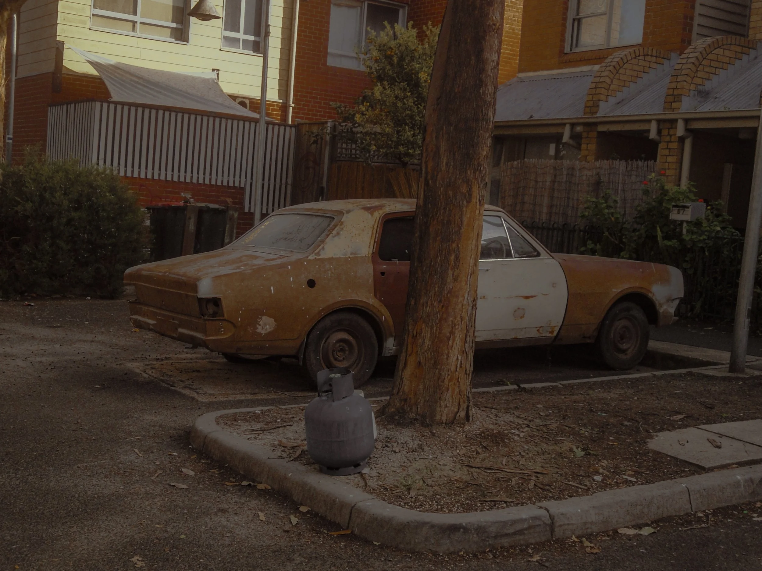 DSC08947.jpg