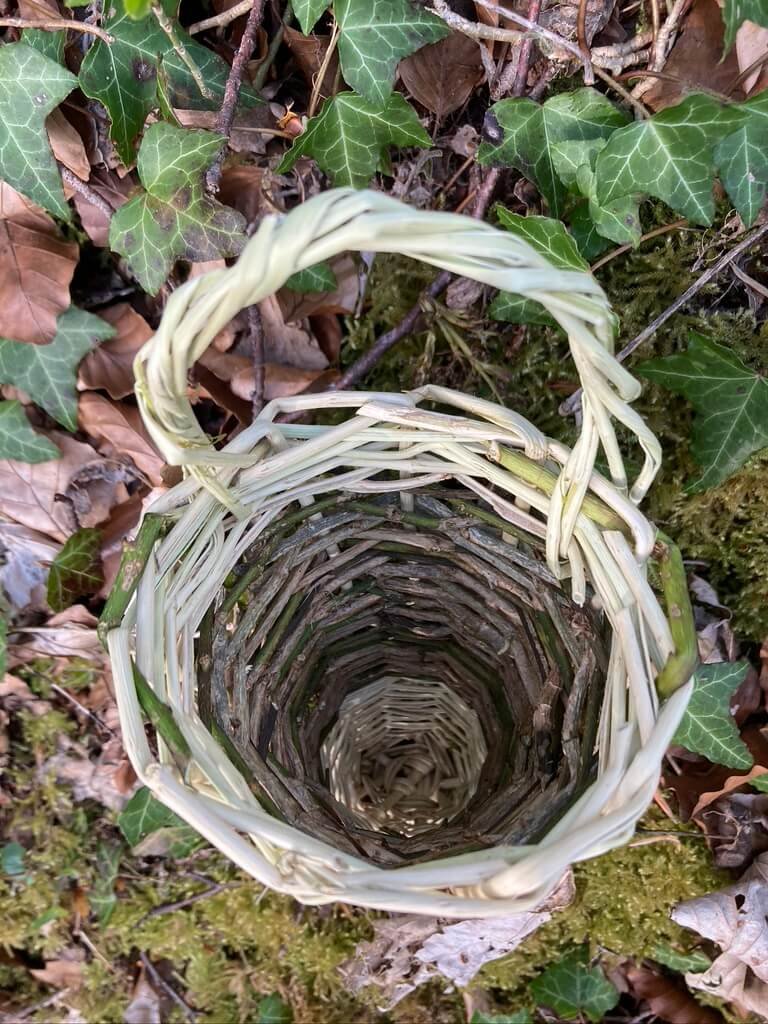 Ivy Hanging Basket