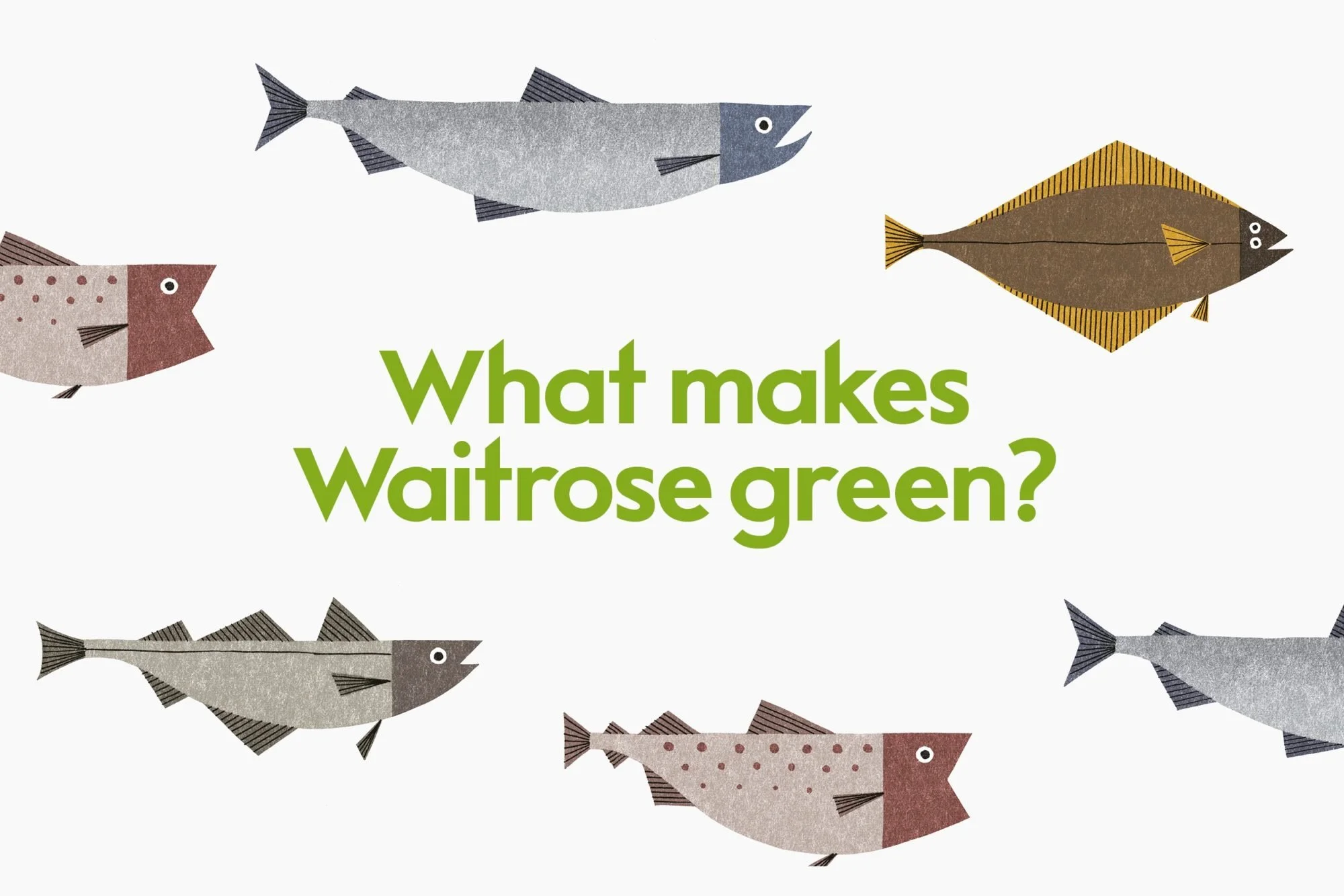 Waitrose | Brand Identity Case Study | Mytton Williams