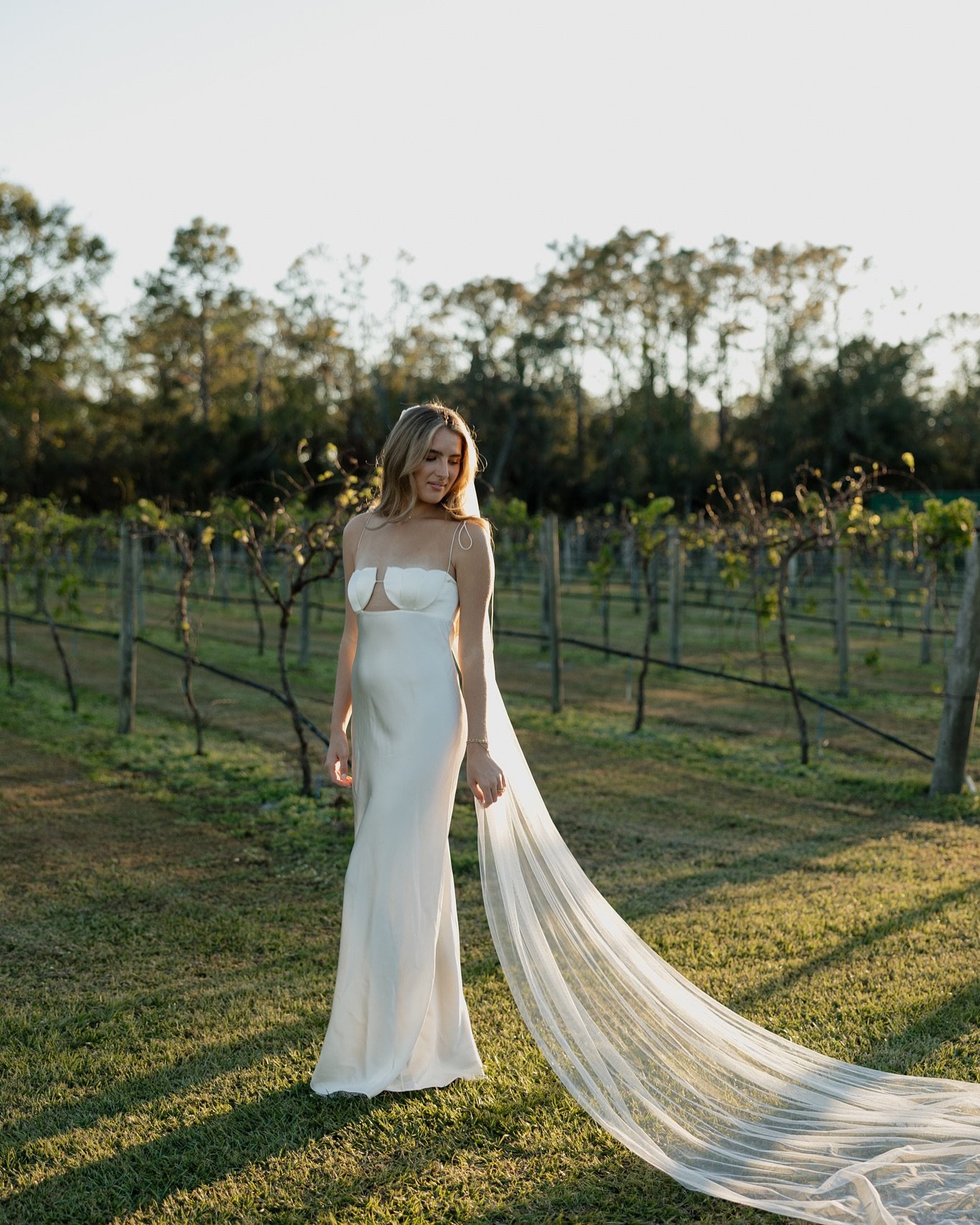 Love on a vineyard 🍇🕊️✨

#floridaweddingphotographer 
#southfloridaweddingphotographer
#sarasotaweddingphotographer
#annamariaislandwedding 
#sarasotaphotographer
#stpeteweddingphotographer 
#tampaweddingphotographer 
#floridaluxuryweddingphotograp