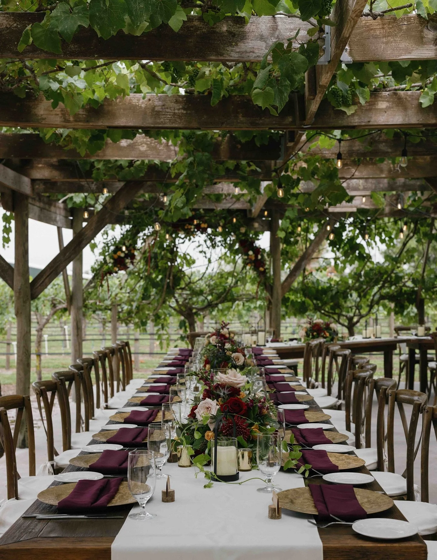 Greens with a kiss of burgundy 🍇🍃