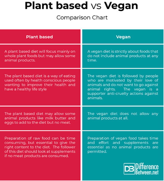 vegan vs plant-based.png