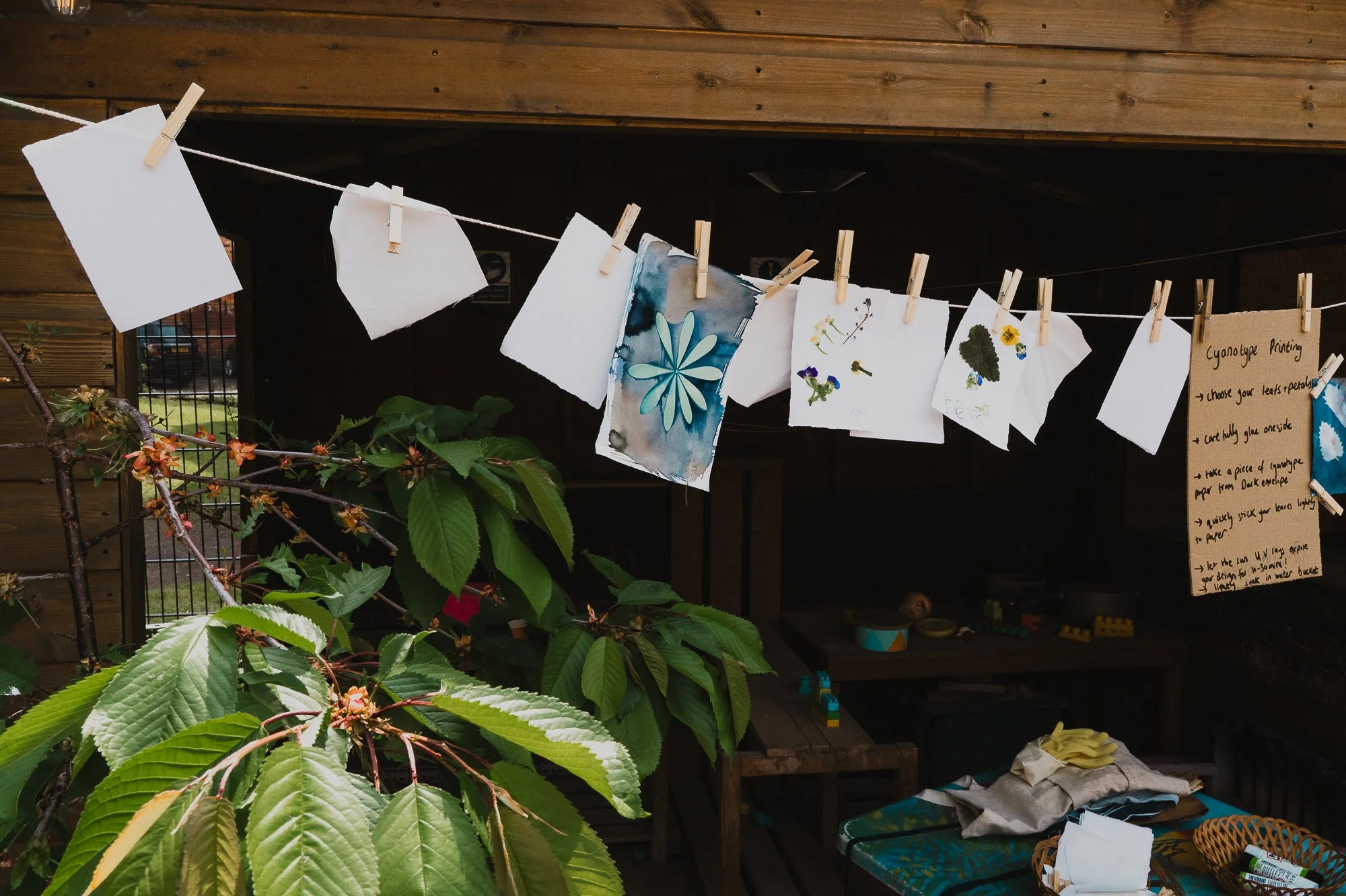 Cyanotype printing with Kids! Tutorial