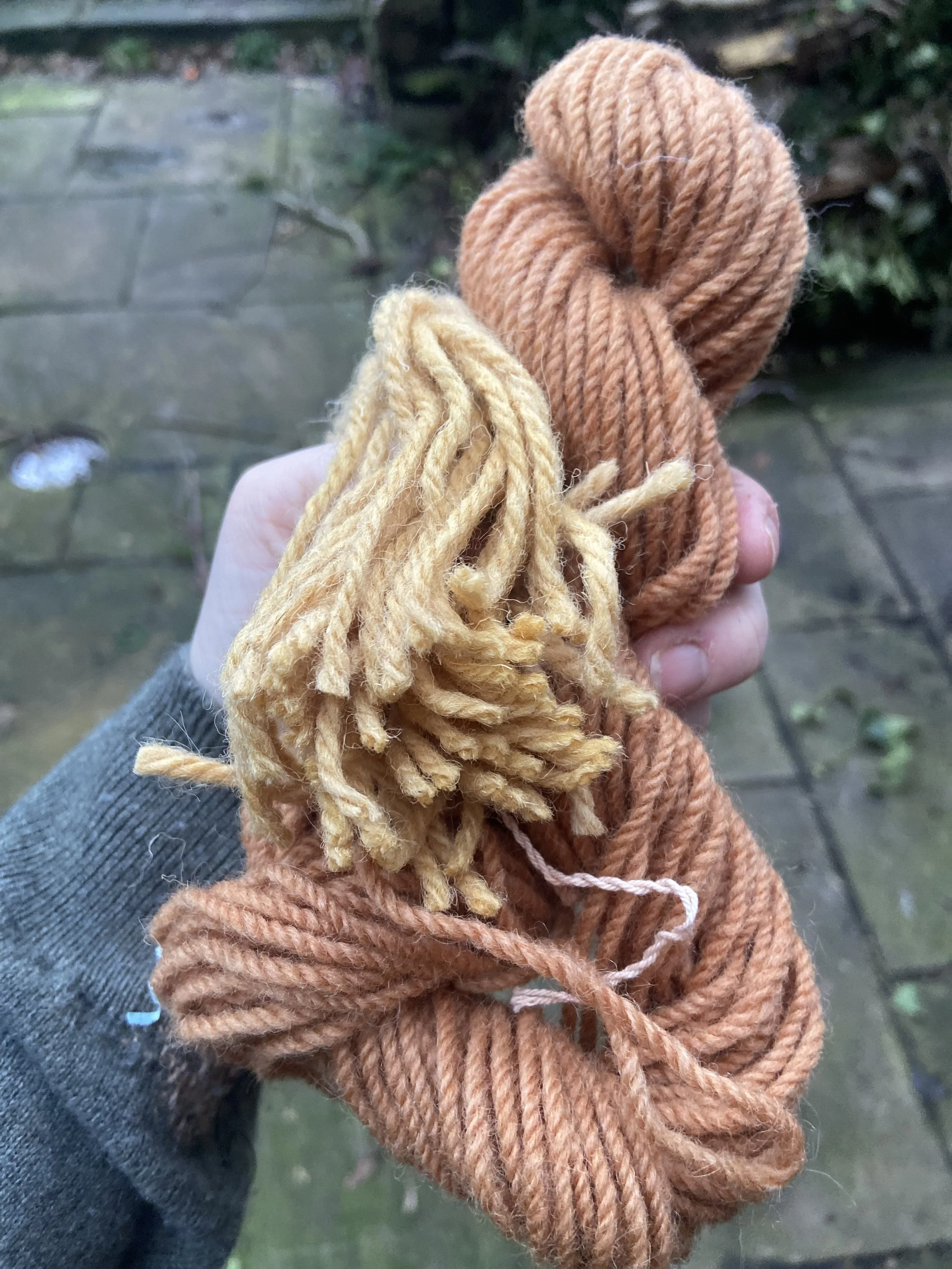 Plant dye project at the National Trust 