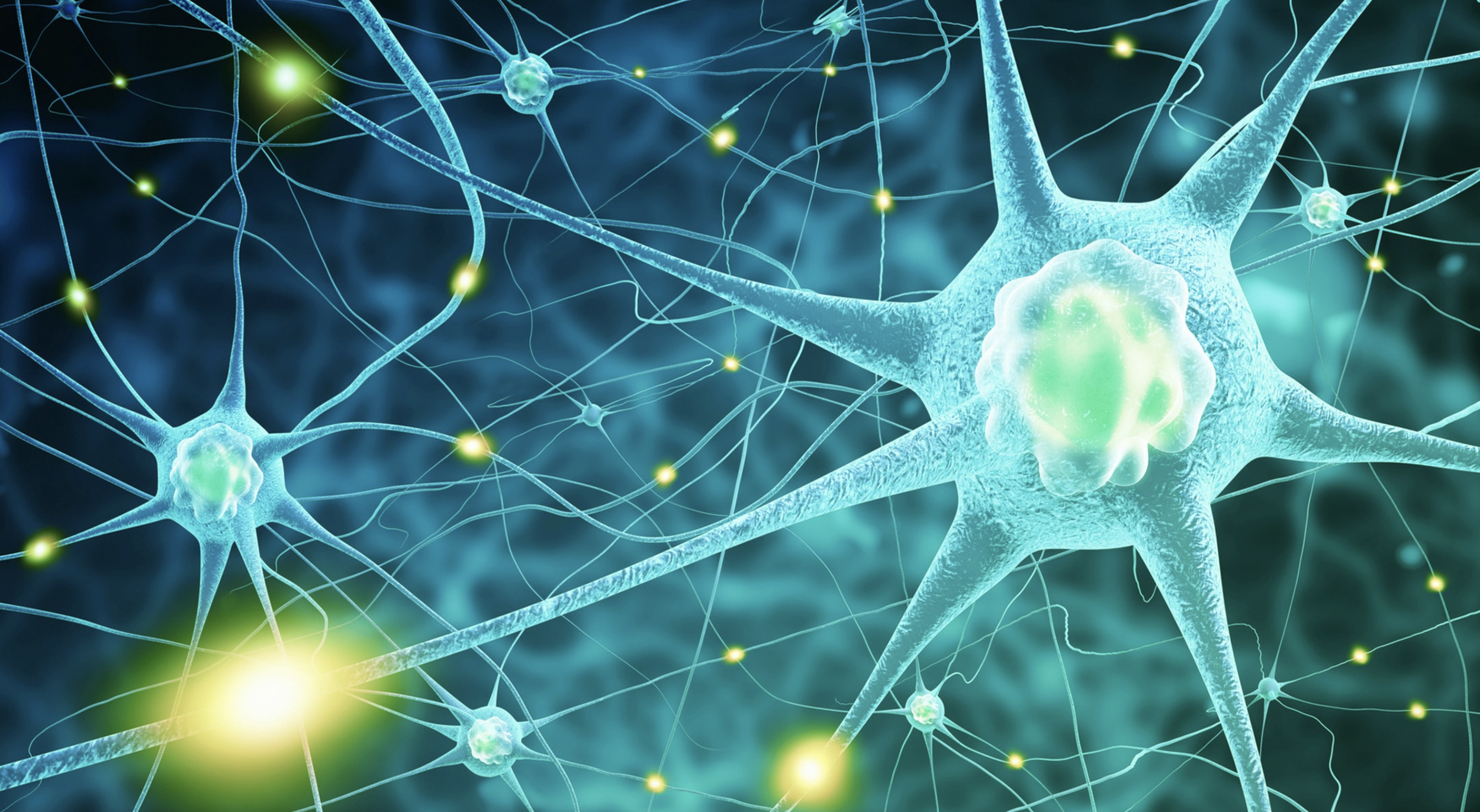 Imperfect Thriving - Neuroscience Workshop with Tina Neuhoff