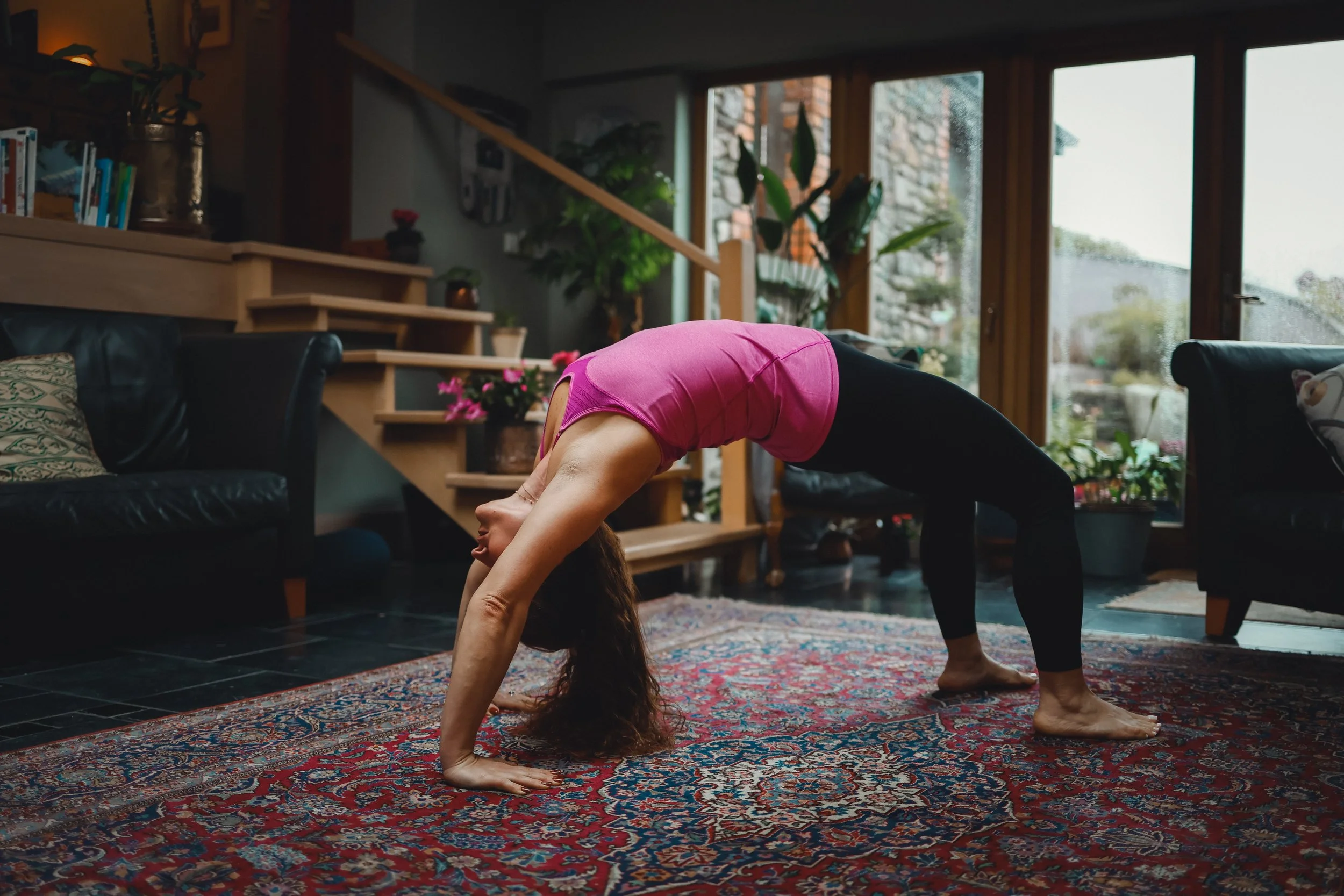 YogaTree offering classes for beginners, intermediate and advanced yogis