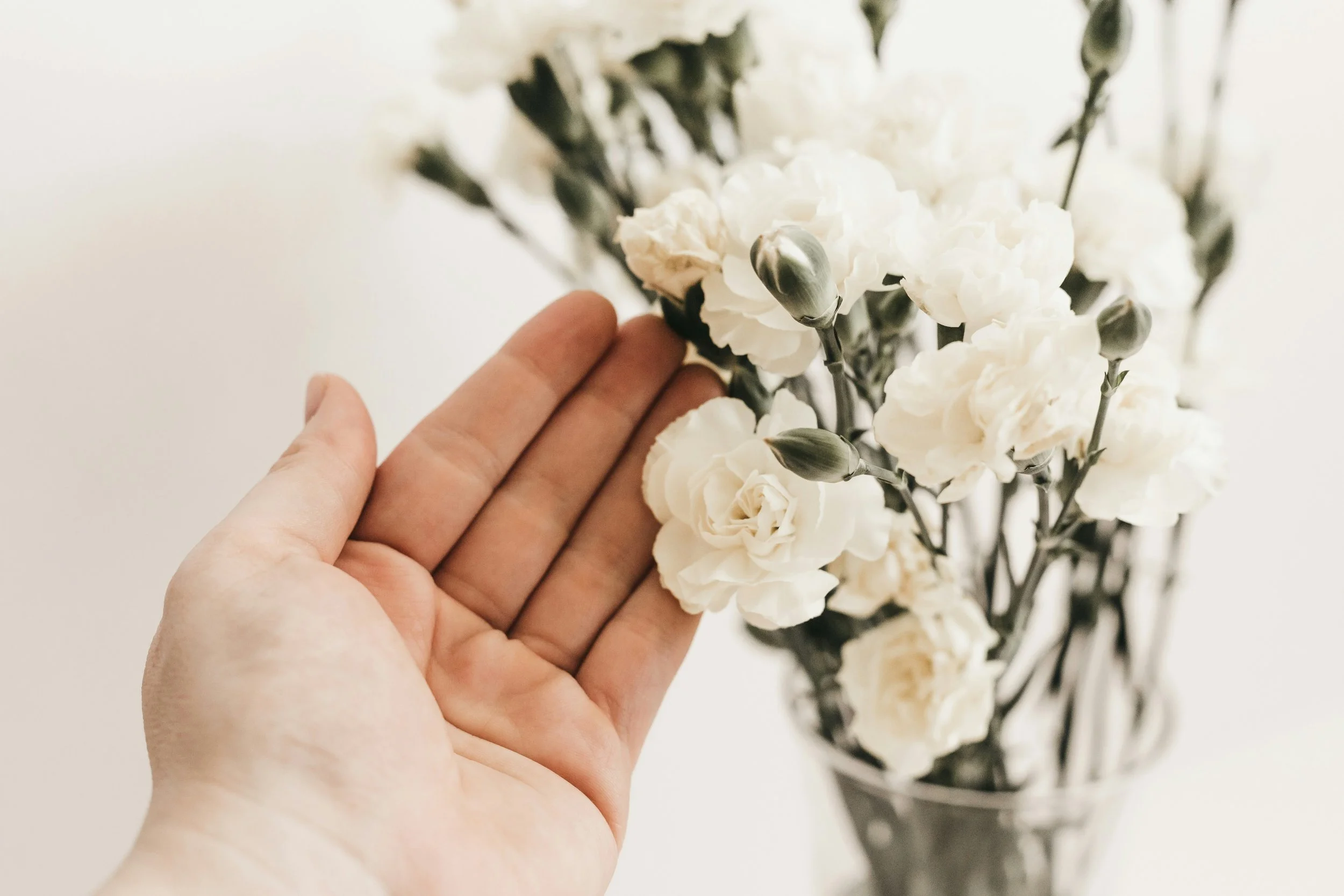 A hand gently touching a bunch of white carnations in a glass vase.