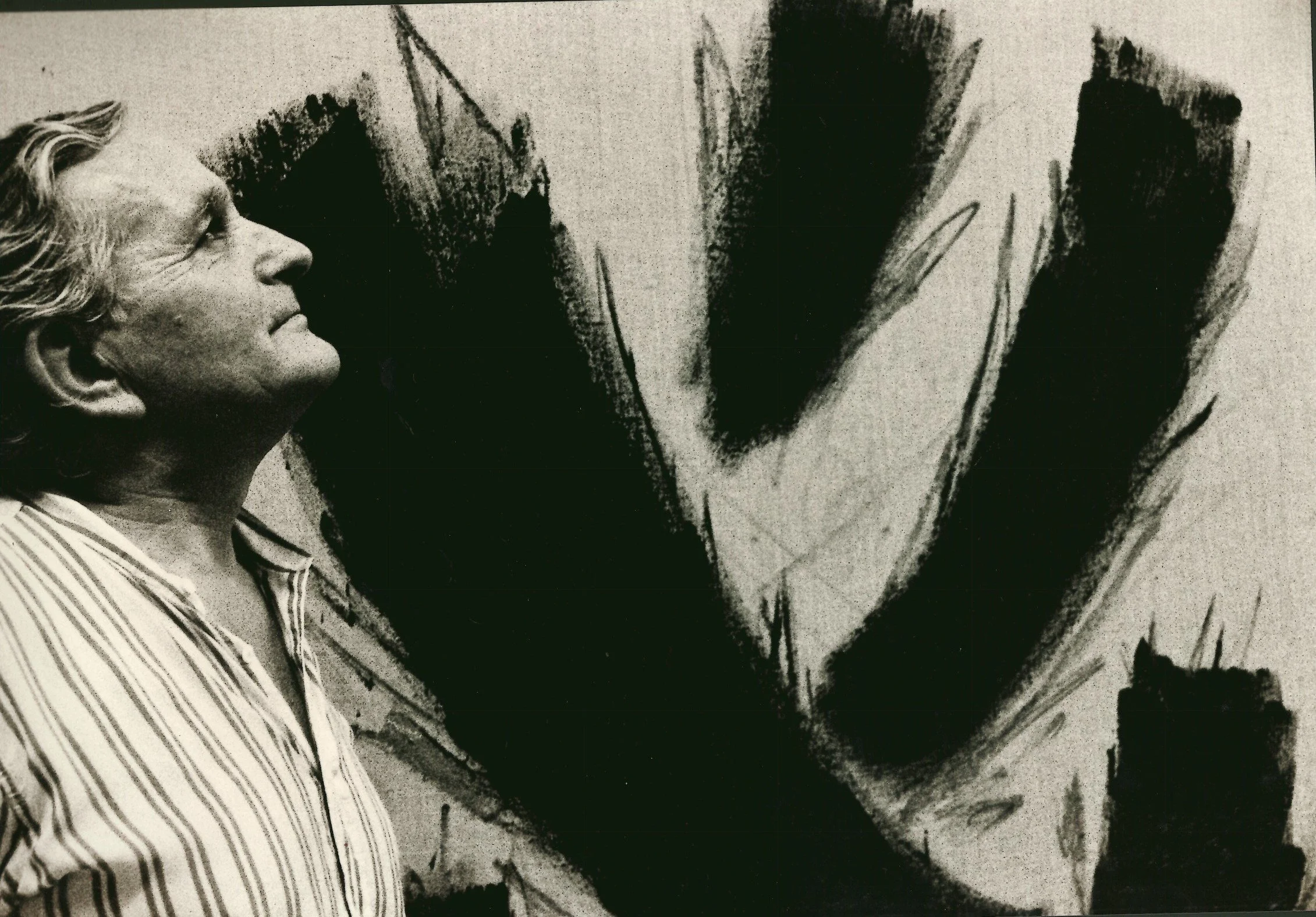 SOMA x fondazione museo emblema