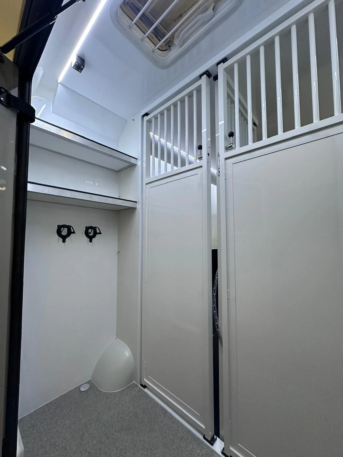 WhatsApp Image 2026-02-08 at 06.39.54.jpeg