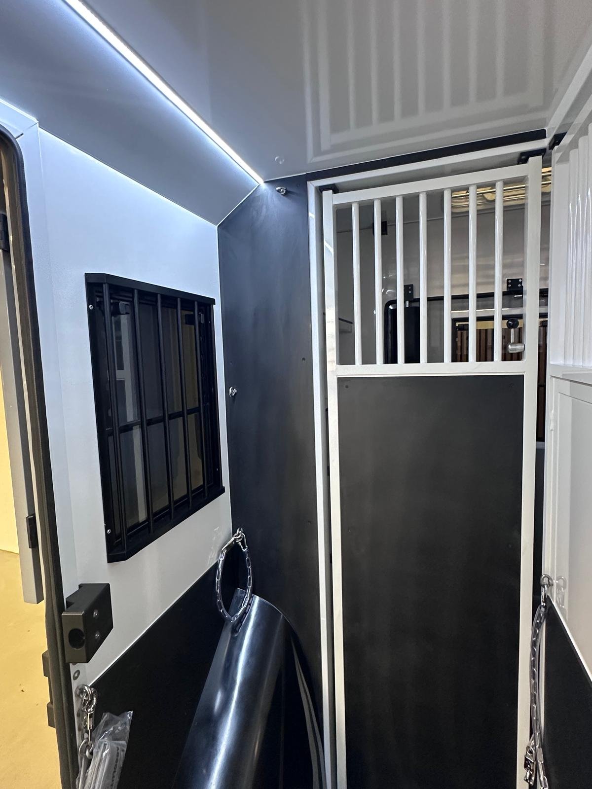 WhatsApp Image 2026-02-08 at 06.39.53.jpeg