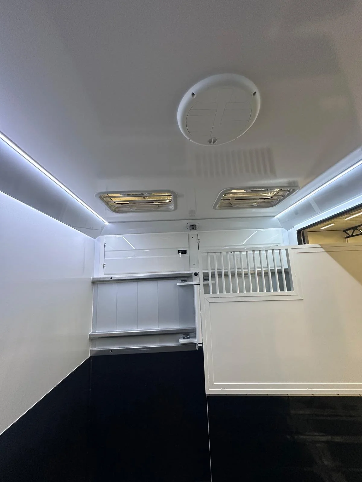 WhatsApp Image 2026-02-08 at 06.39.531.jpeg