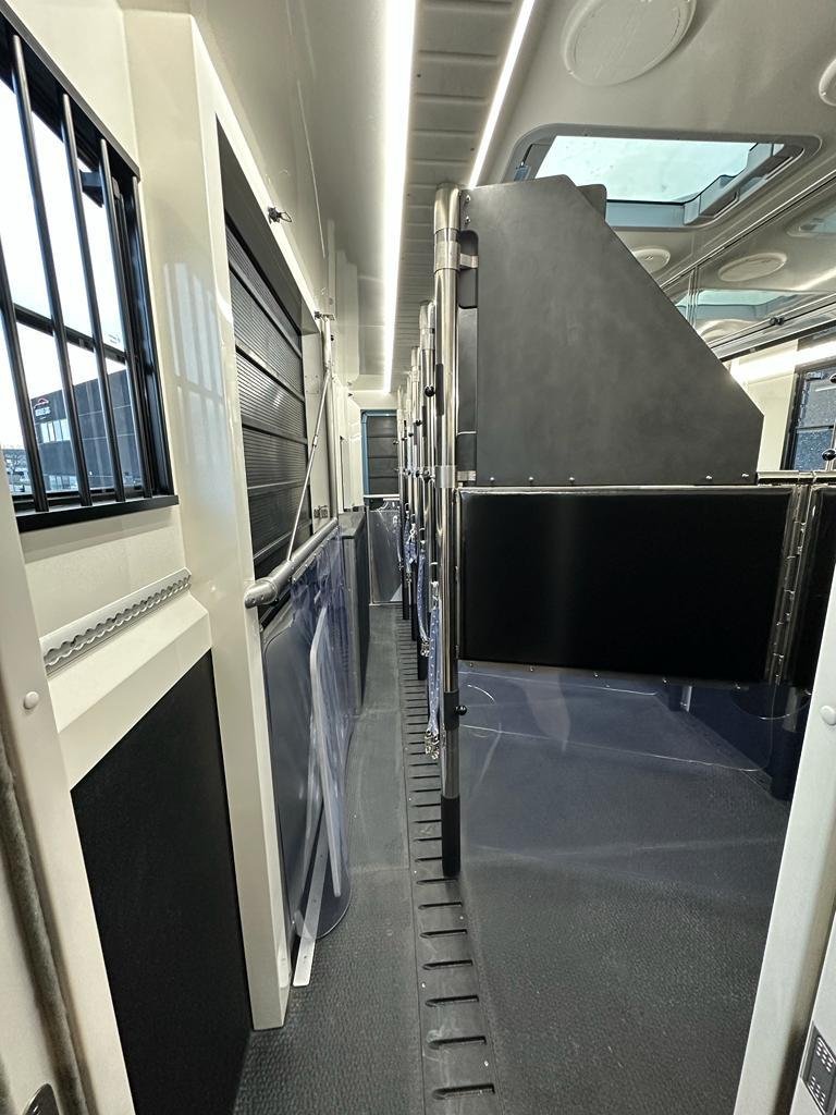 WhatsApp Image 2026-03-12 at 23.00.59 (3).jpeg