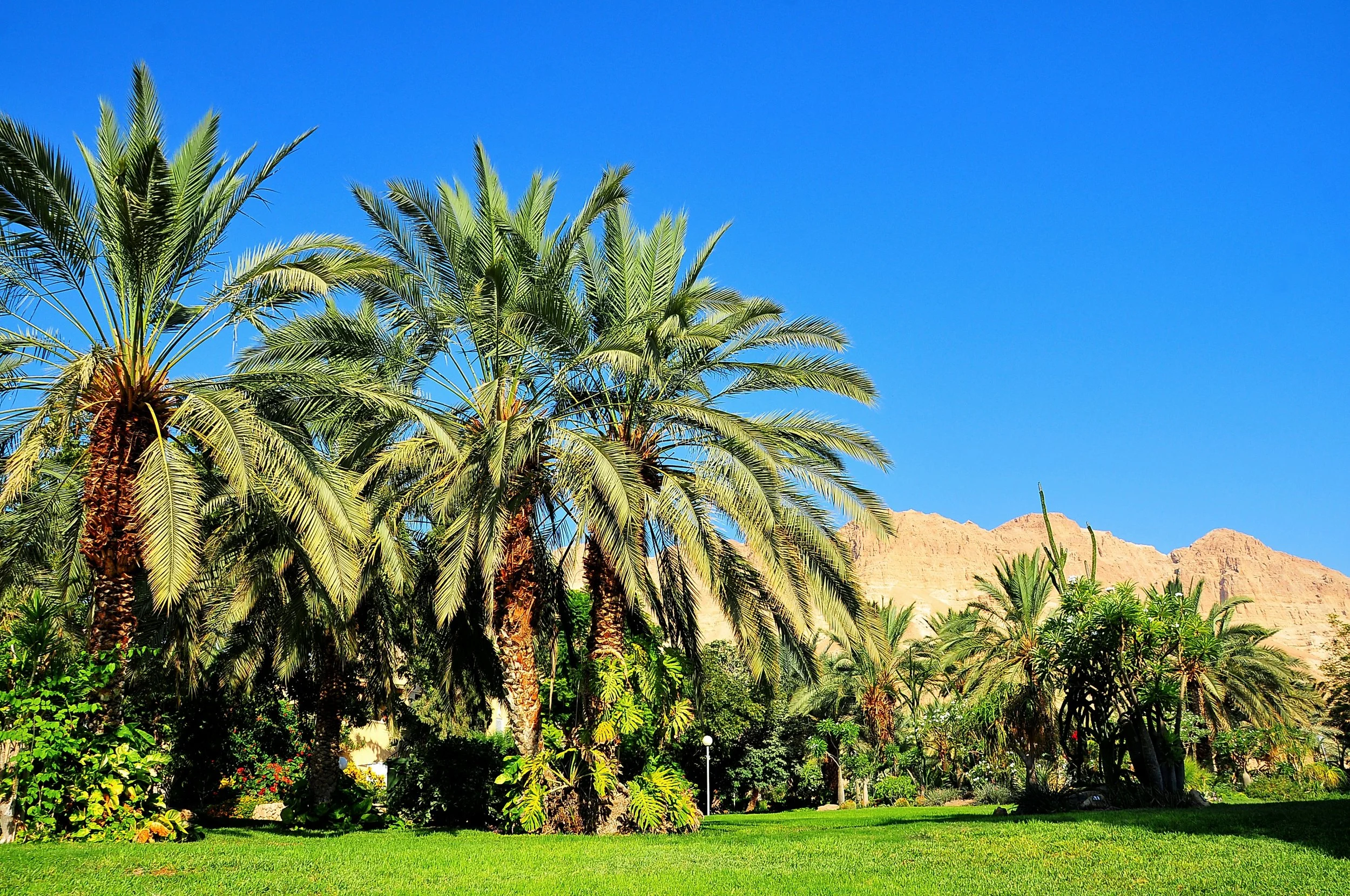 גן בוטני16.JPG