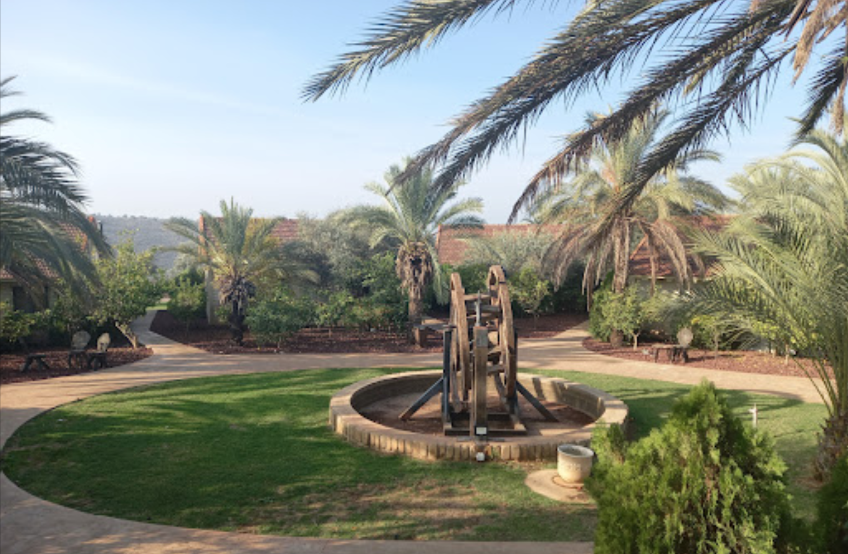 A garden with a central circular fountain, surrounded by palm trees, shrubs, and pathways in a sunny outdoor setting.