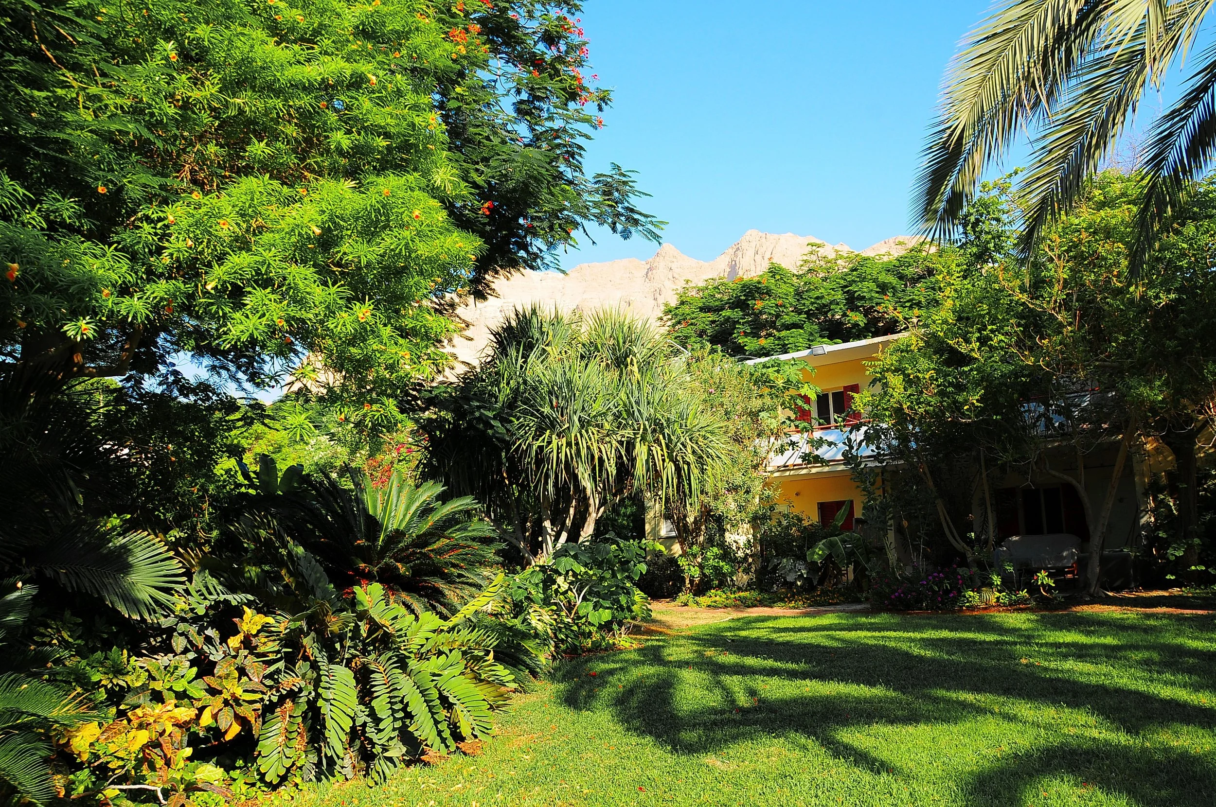 גן בוטני8.JPG