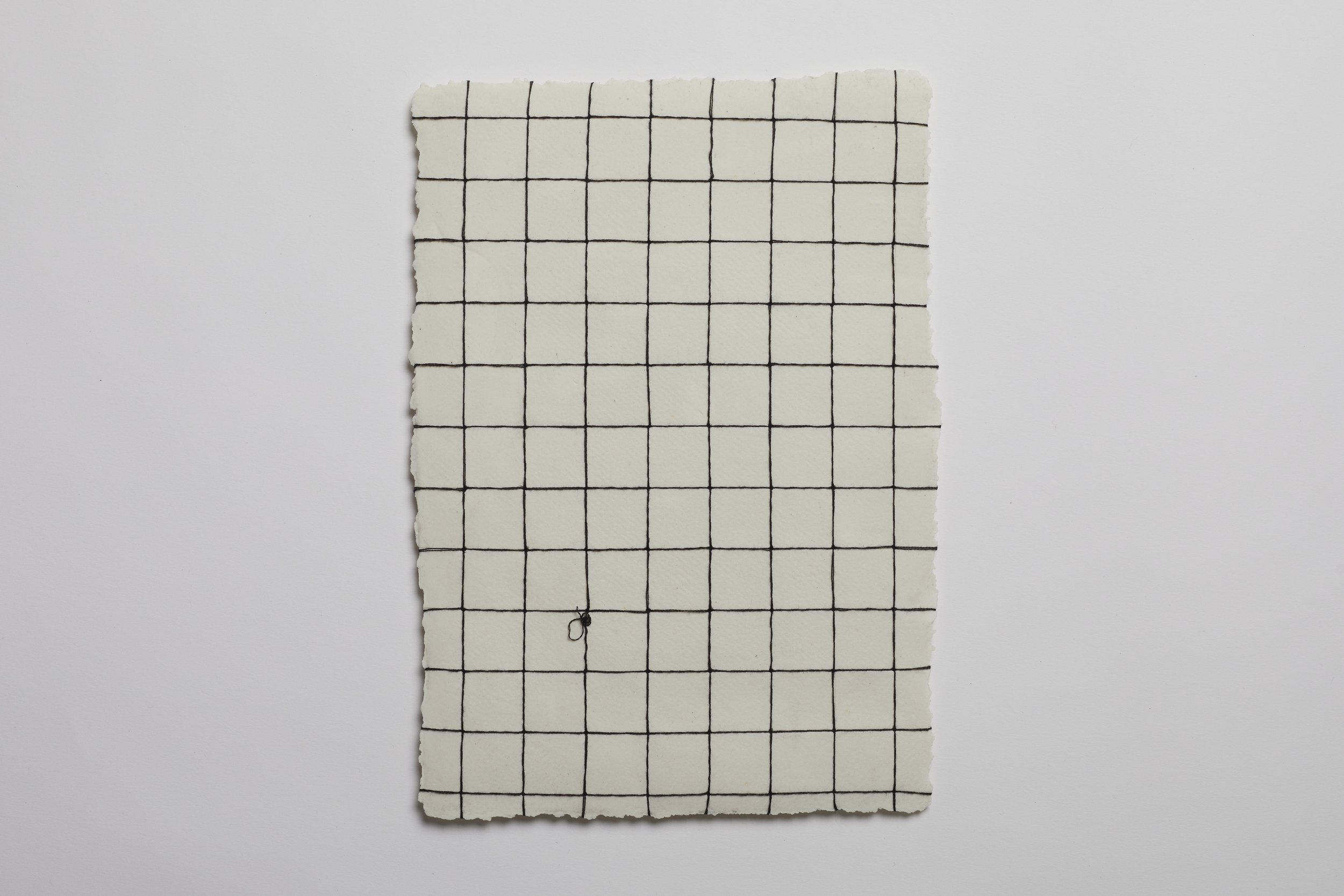 Ara35754.jpg