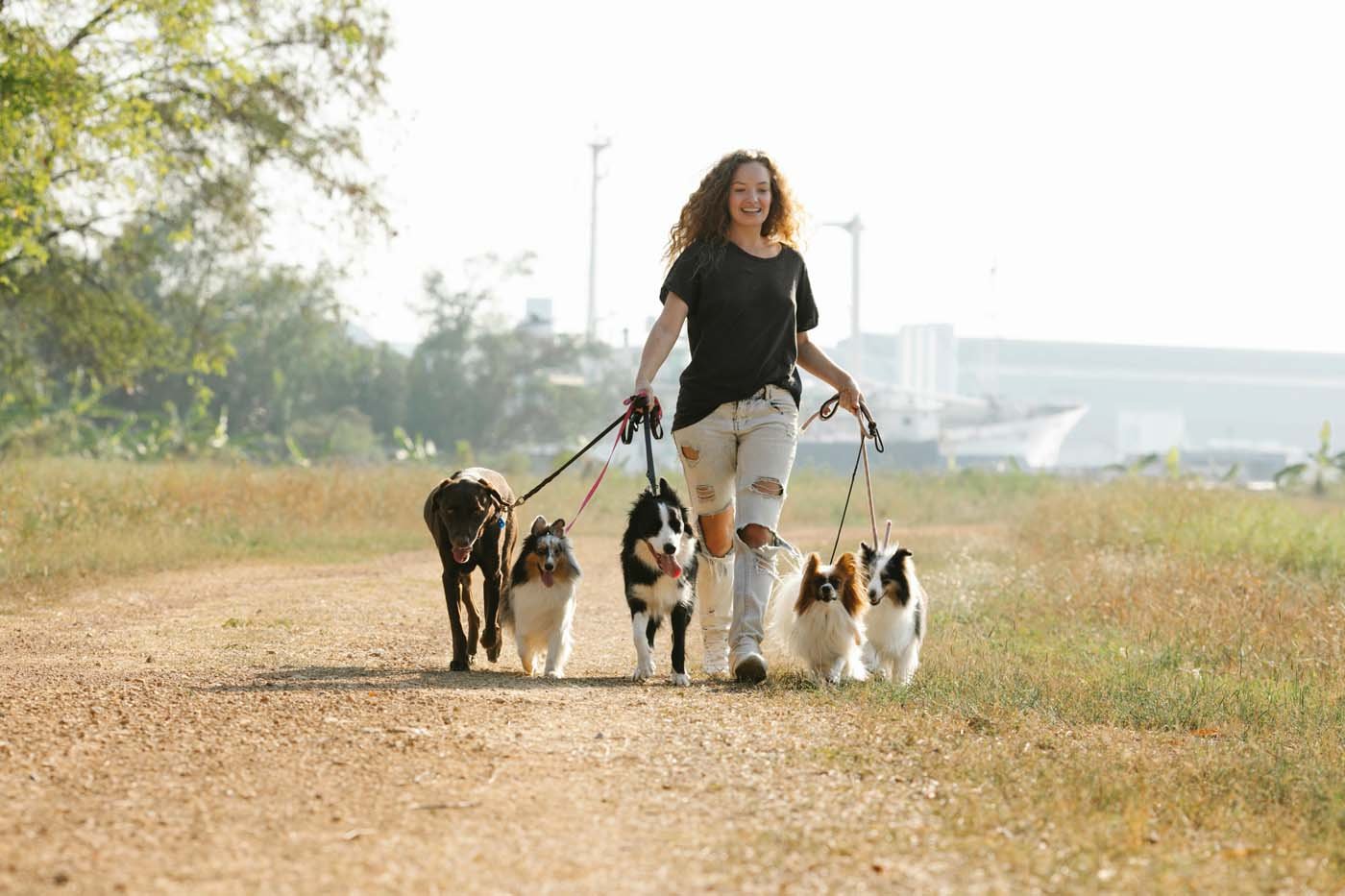 fetch-pet-care-16.jpg