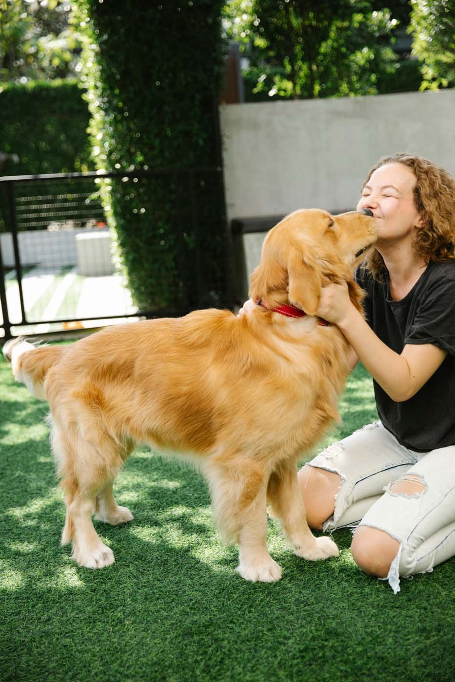 fetch-pet-care-24.jpg