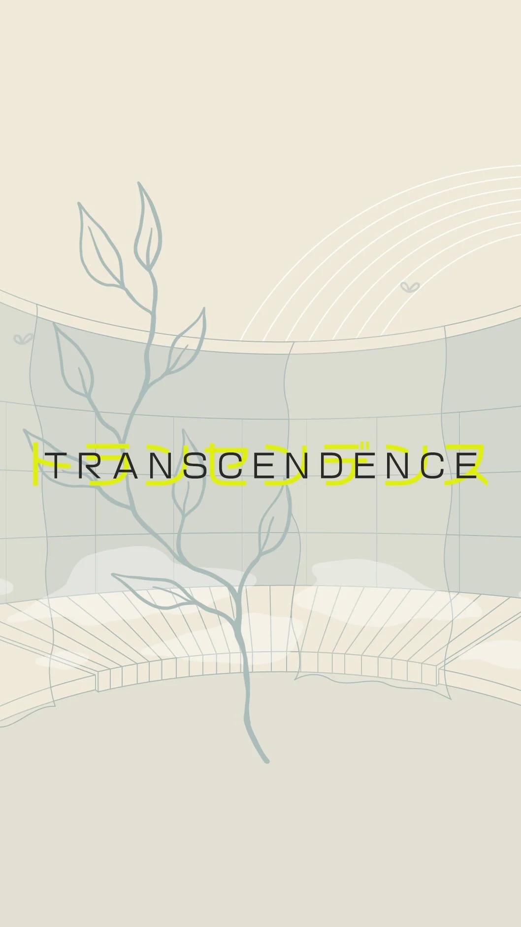 Transcendence (Honours Project)