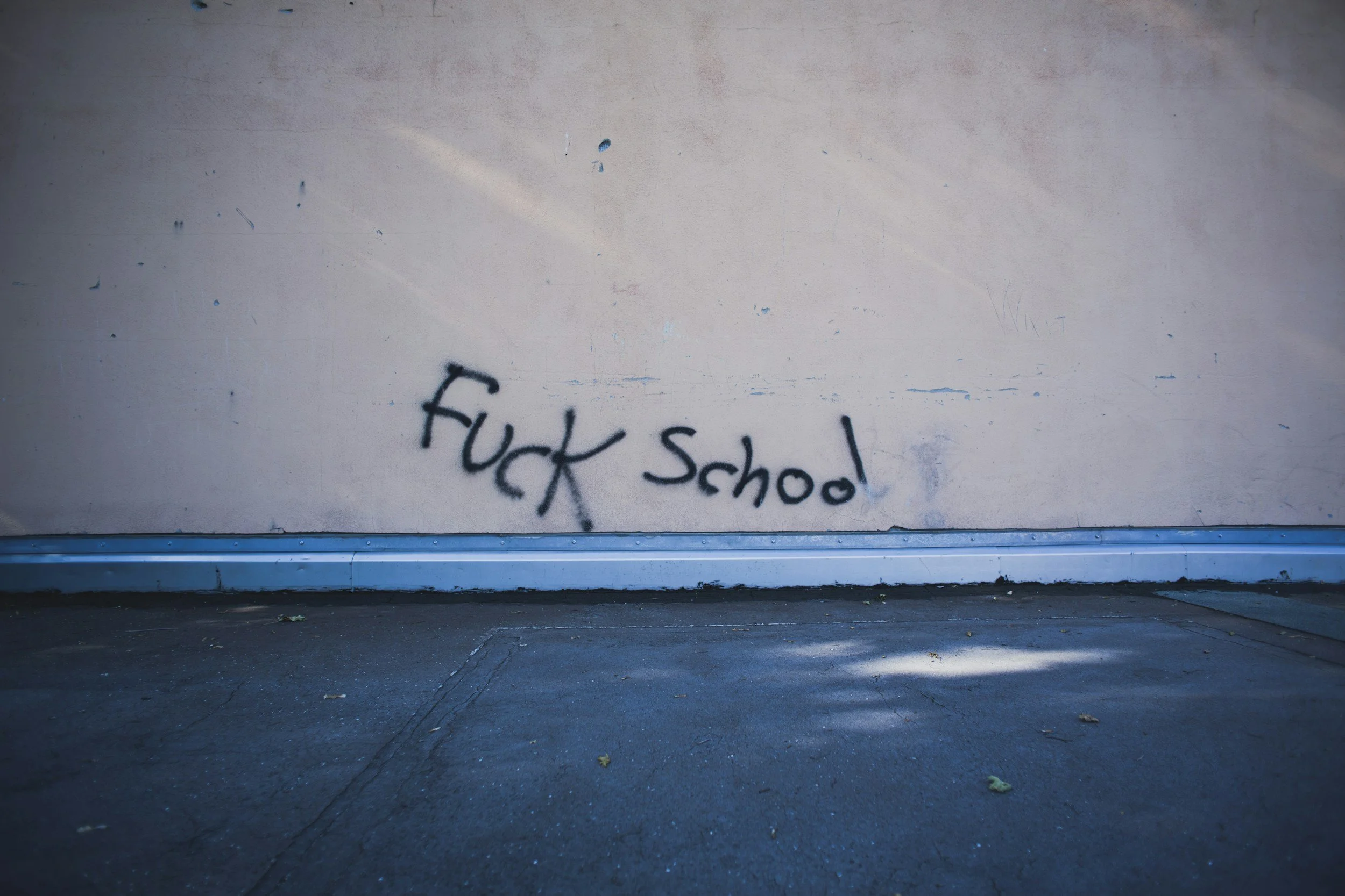 Kritisk tenkning og systemkritikk i skolen