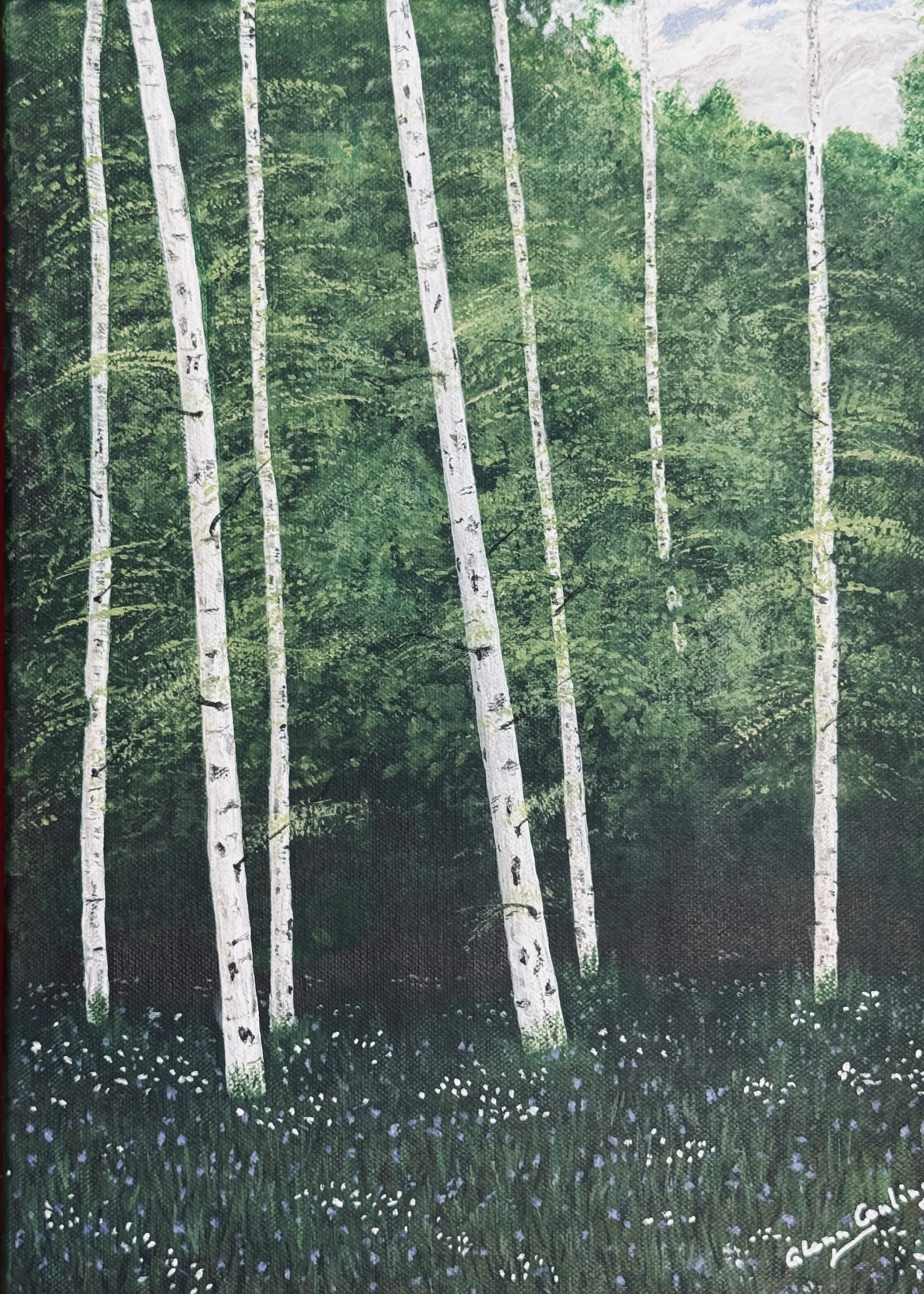 Birches amongst the Bluebells (Acrylic)