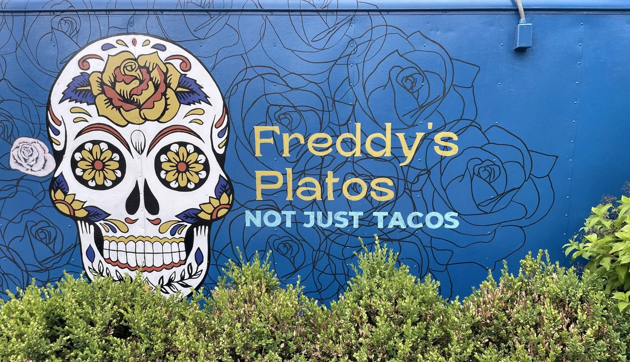 Freddy's Platos