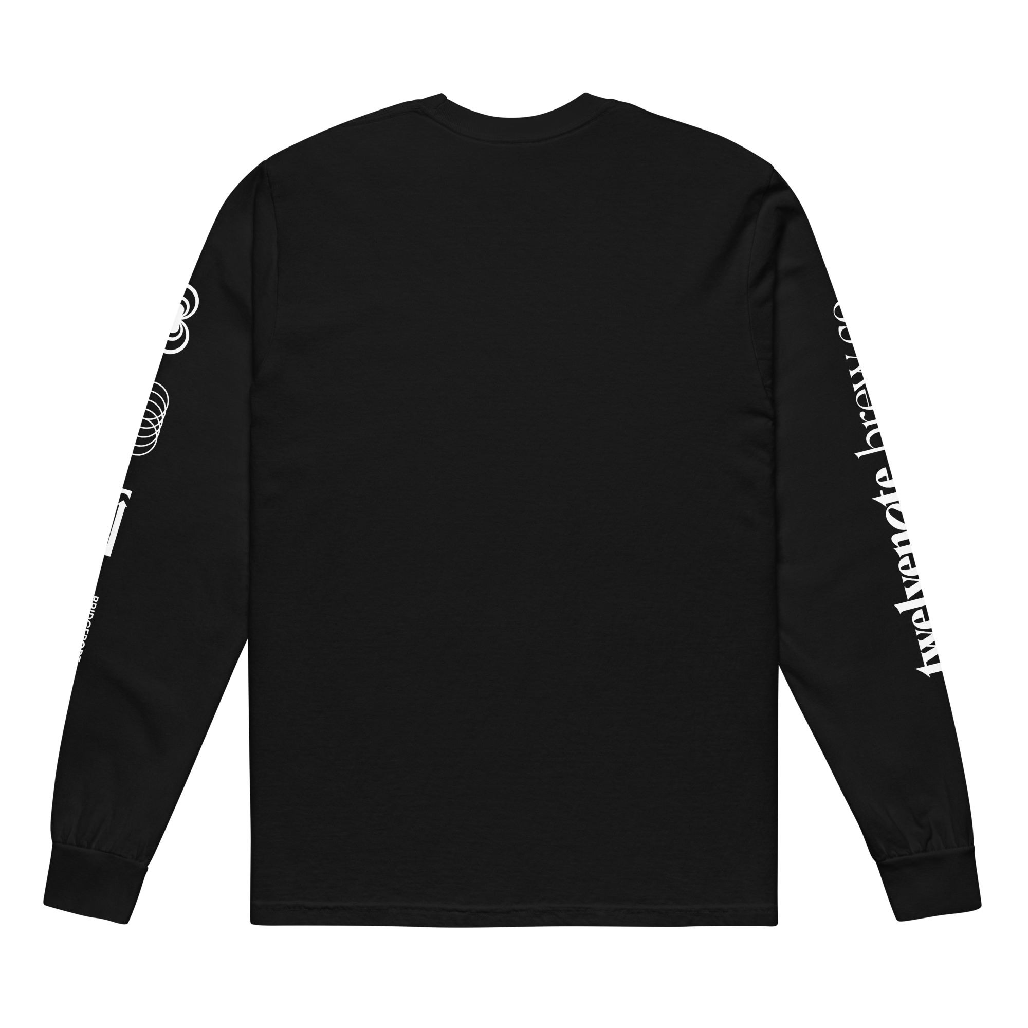 unisex-garment-dyed-heavyweight-long-sleeve-shirt-black-back-699f59f44795e.png