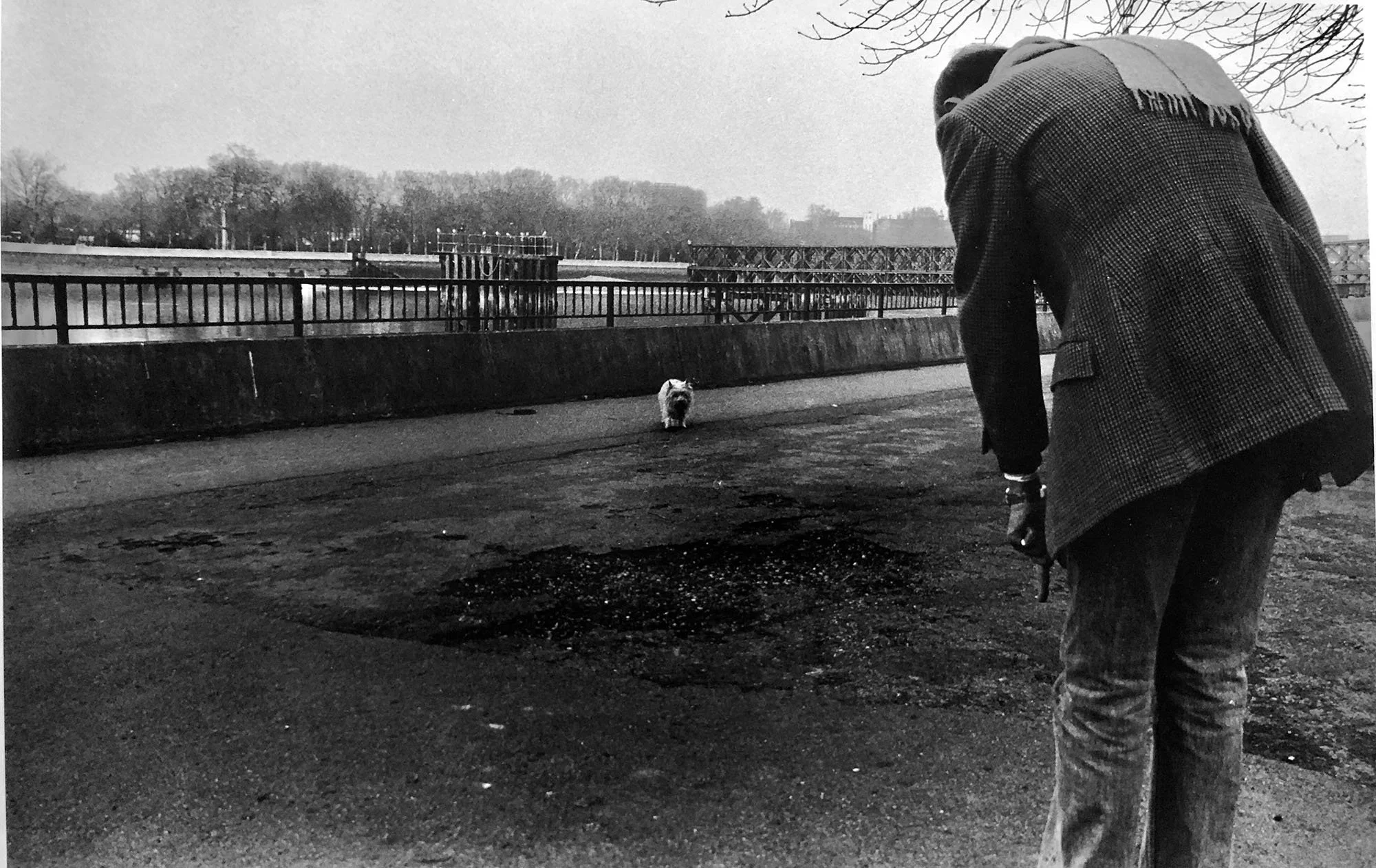 Untitled (Man with Dog)