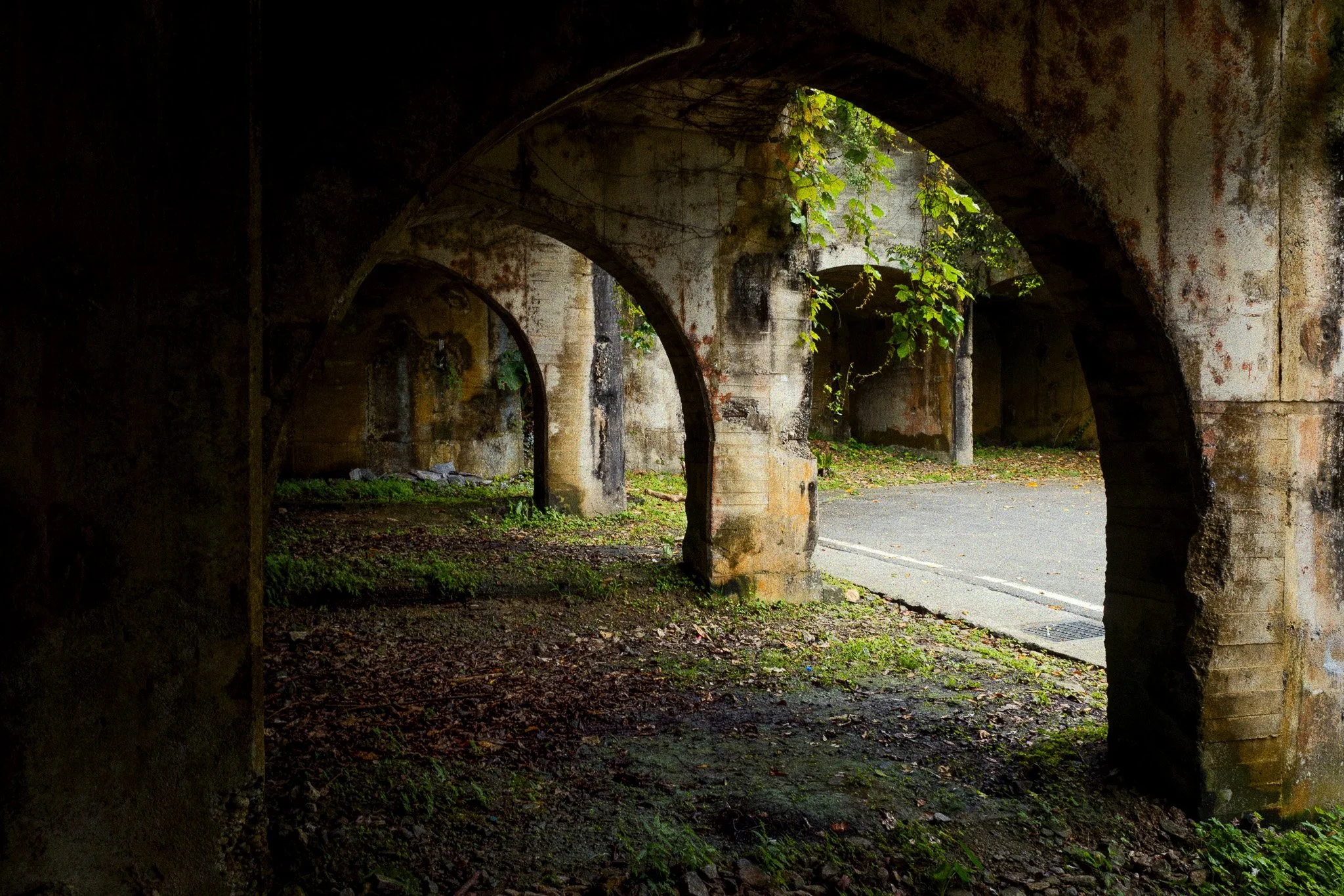 DSCF8463-Edit.jpg