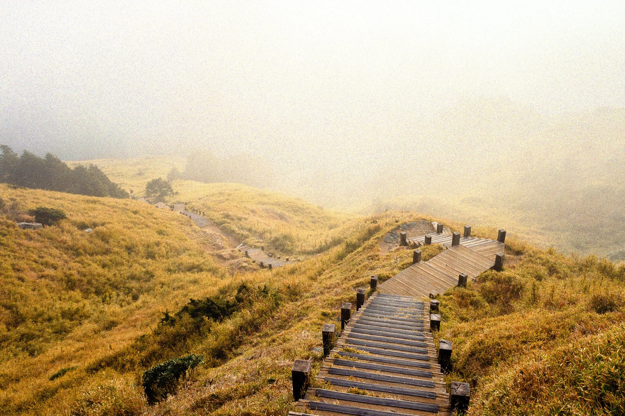 DSCF7501-Edit.jpg