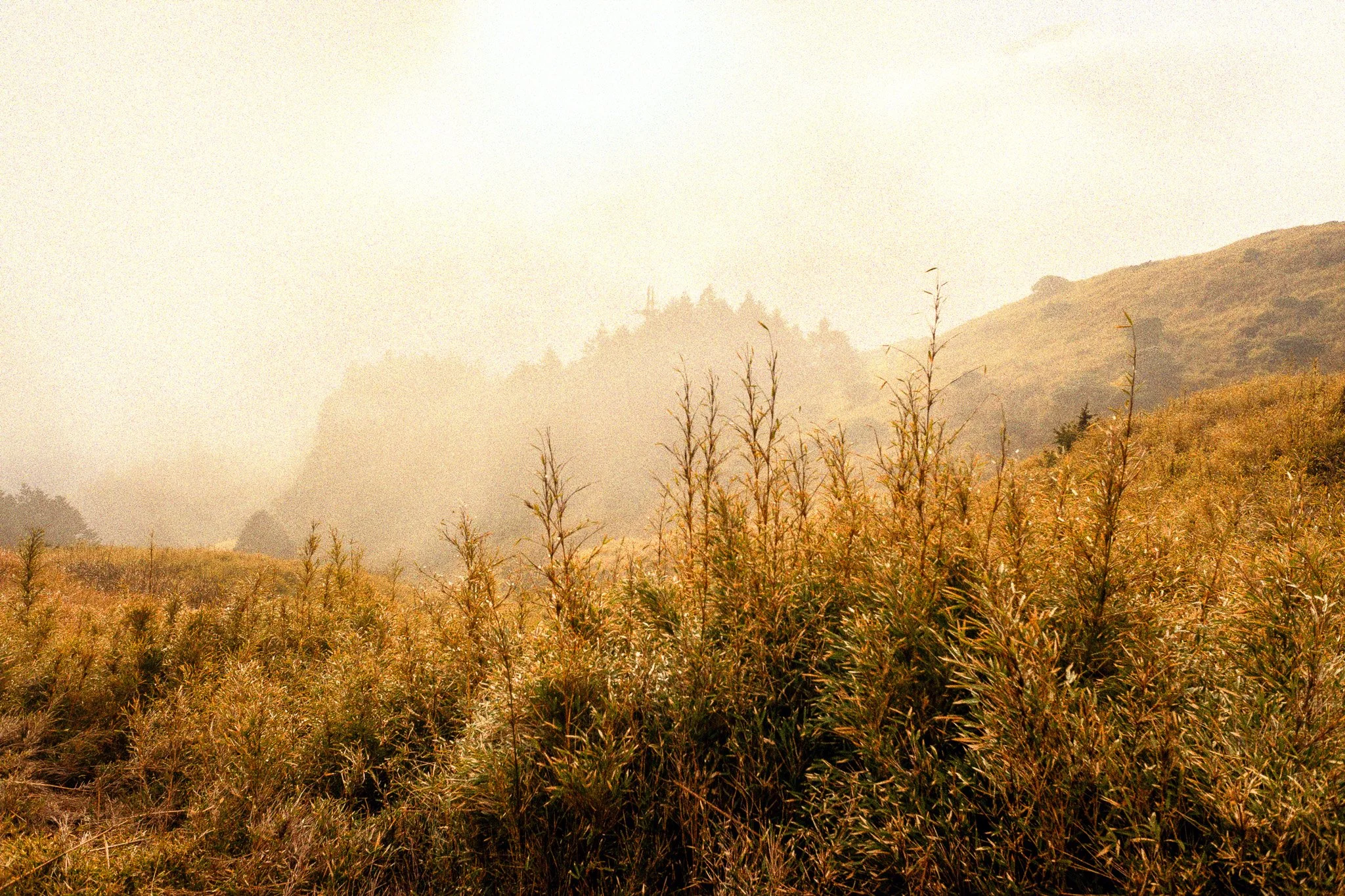 DSCF7503-Edit.jpg