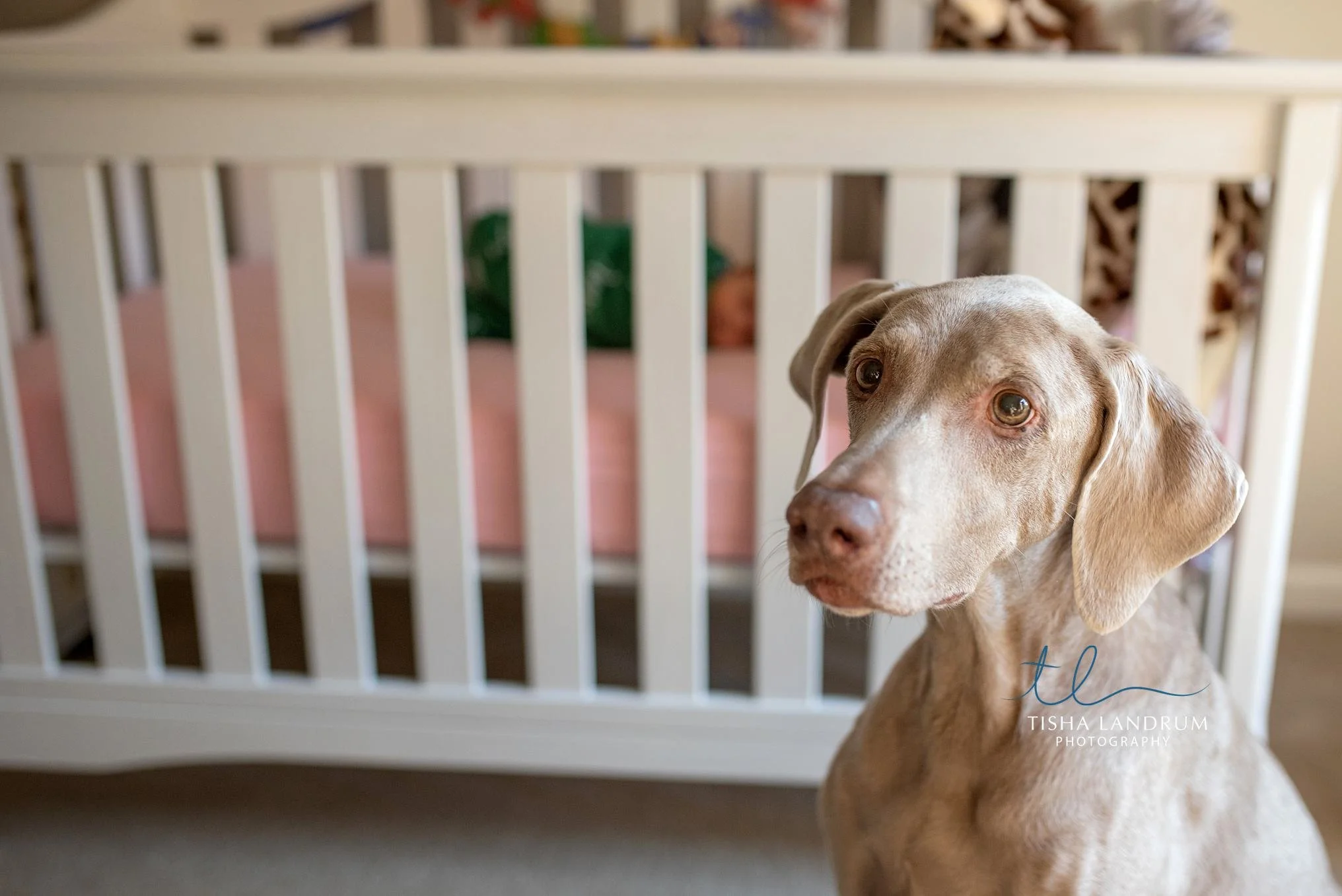Newborn Sibling Session