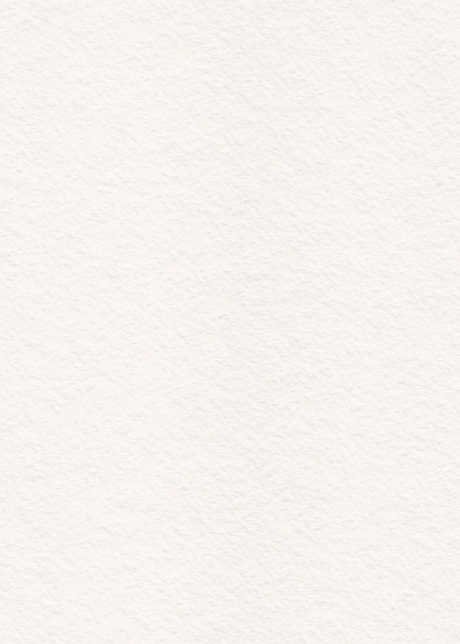 The image is blank with a white textured background and no objects or content.