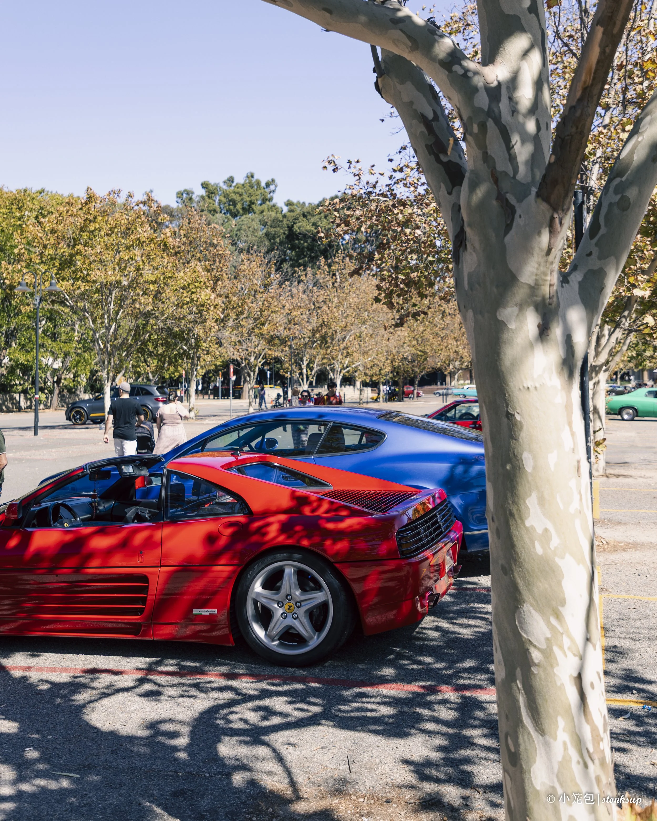 Ferrari 348 TS-15.jpg