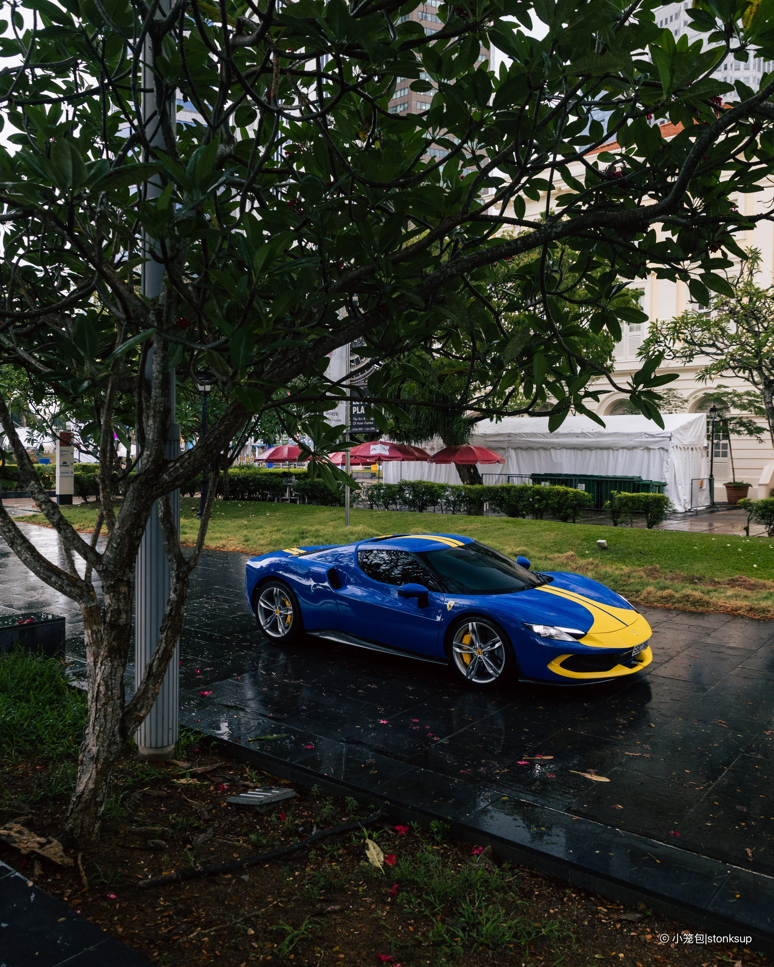296GTB 21.4.26-11.jpg