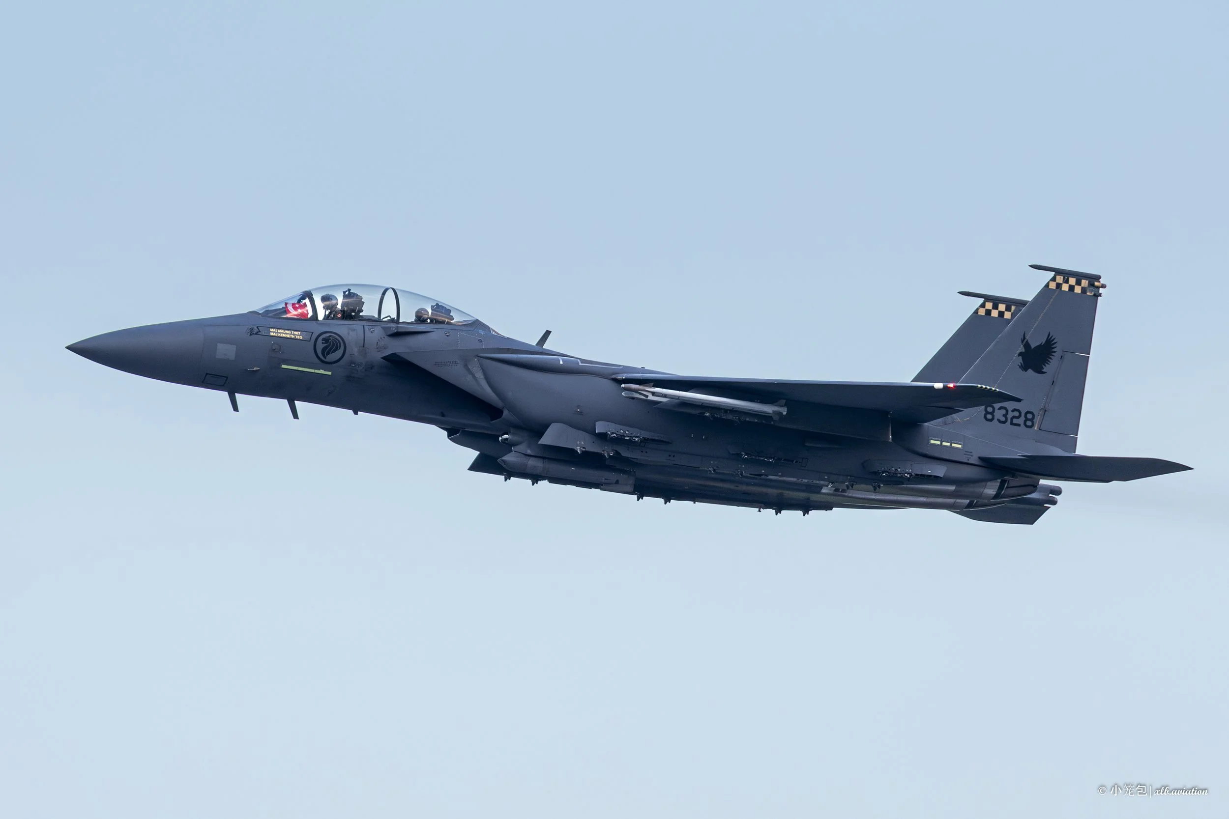 NDP25 F-15SG-5.jpg