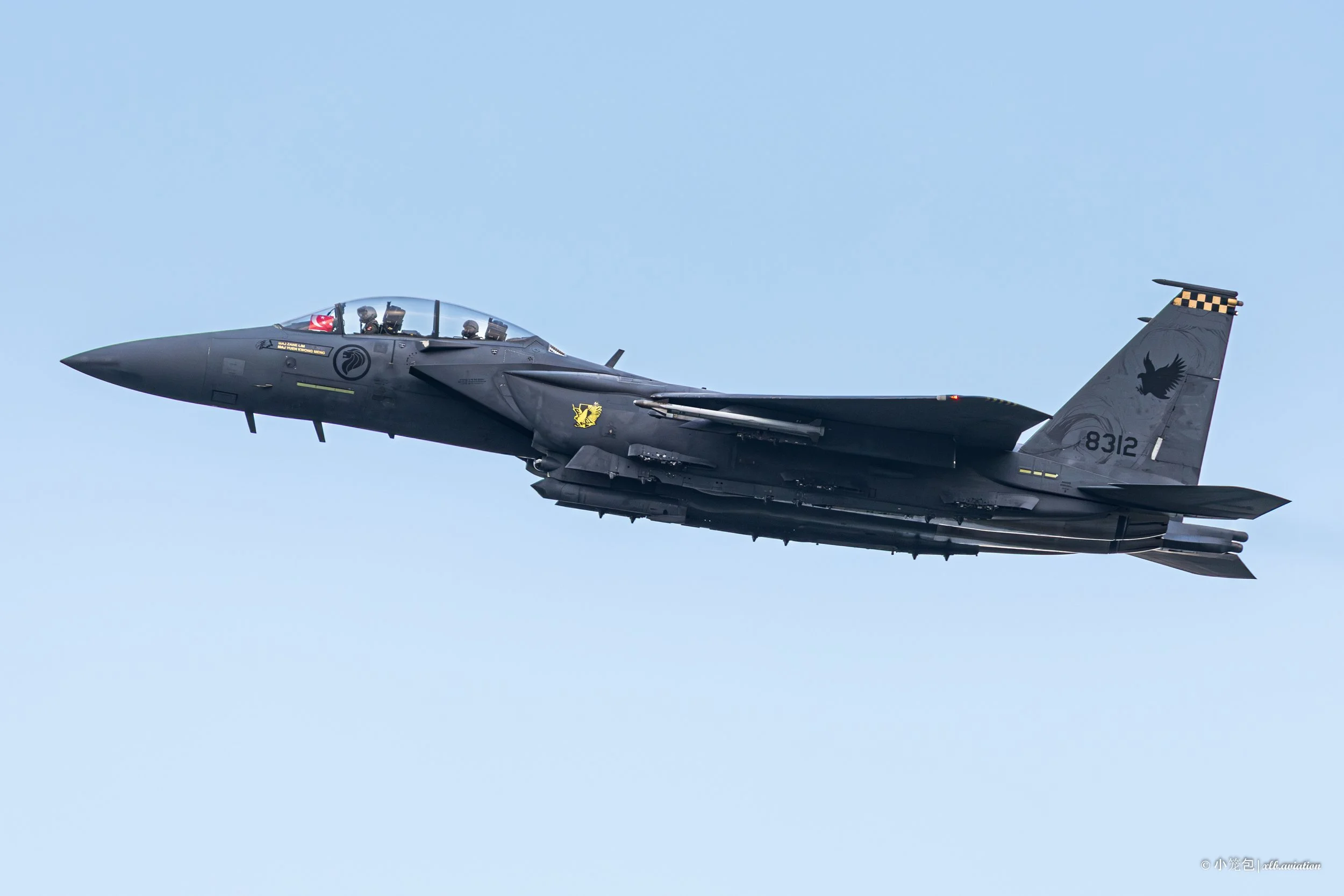 NDP25 F-15SG-6.jpg