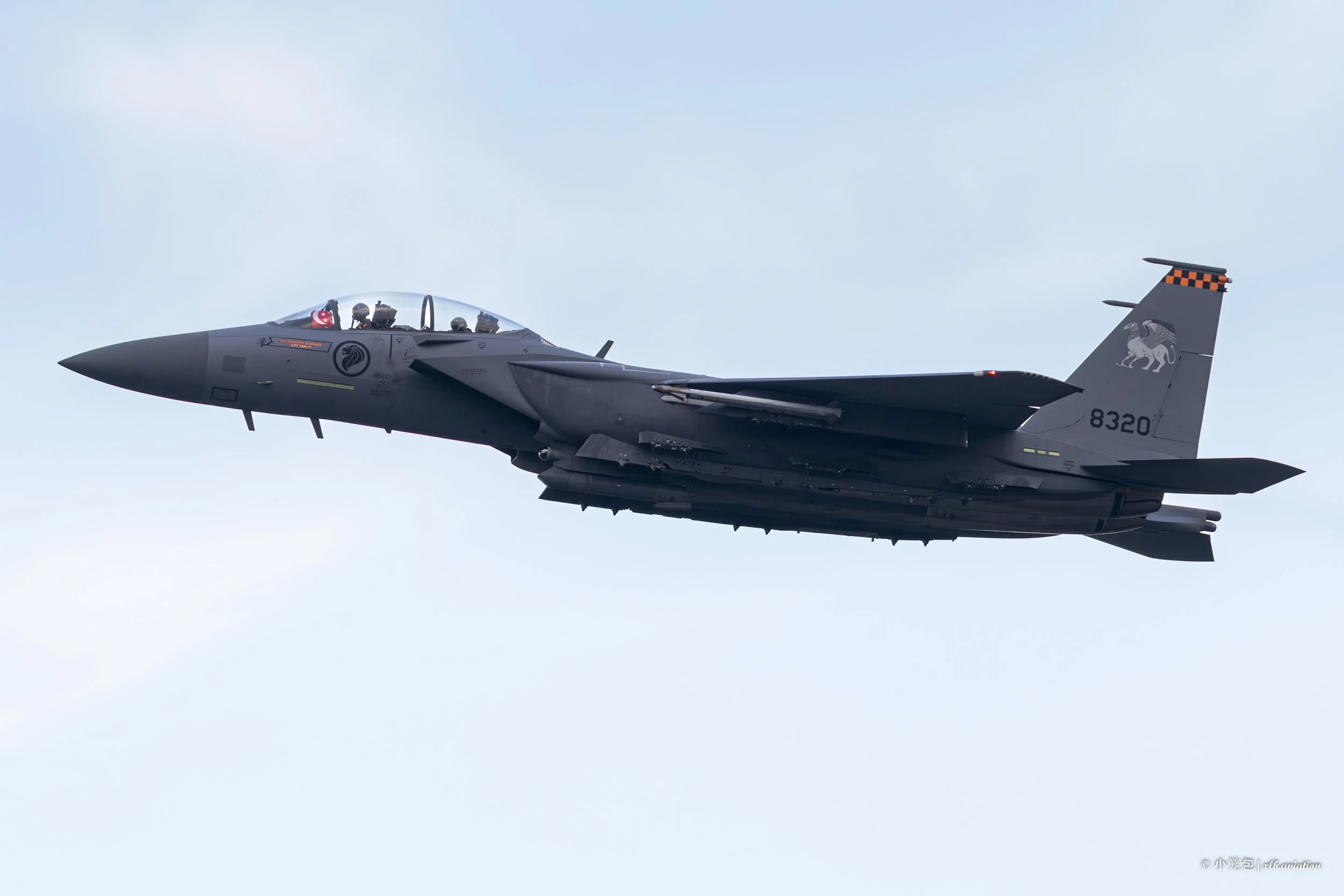 NDP25 F-15SG-2.jpg