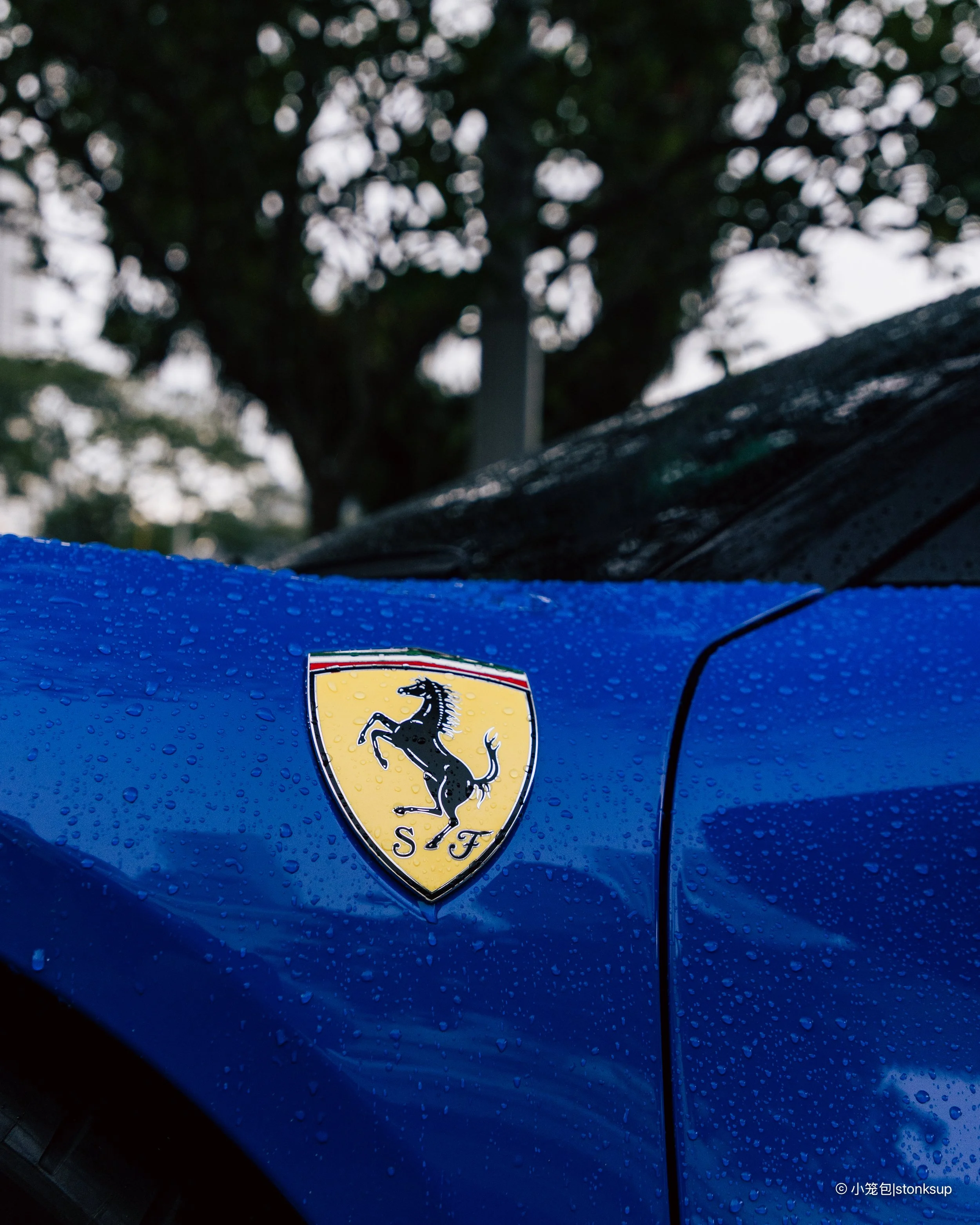 296GTB 21.4.26-8.jpg