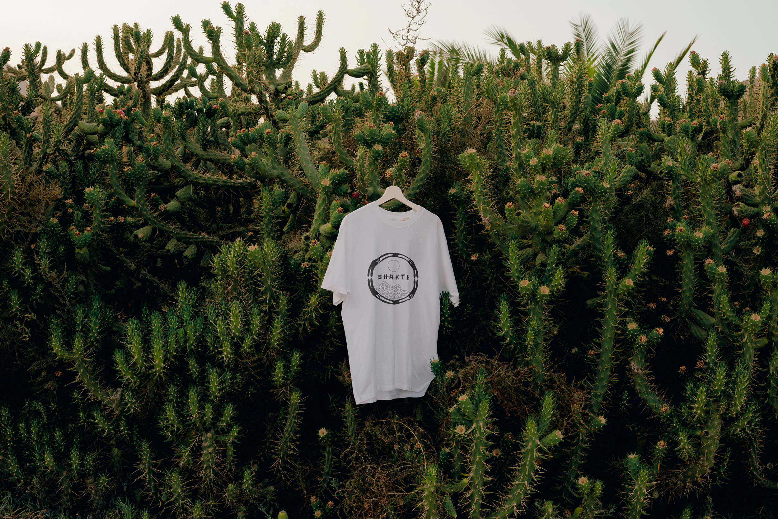 shakti t-shirt 2.png