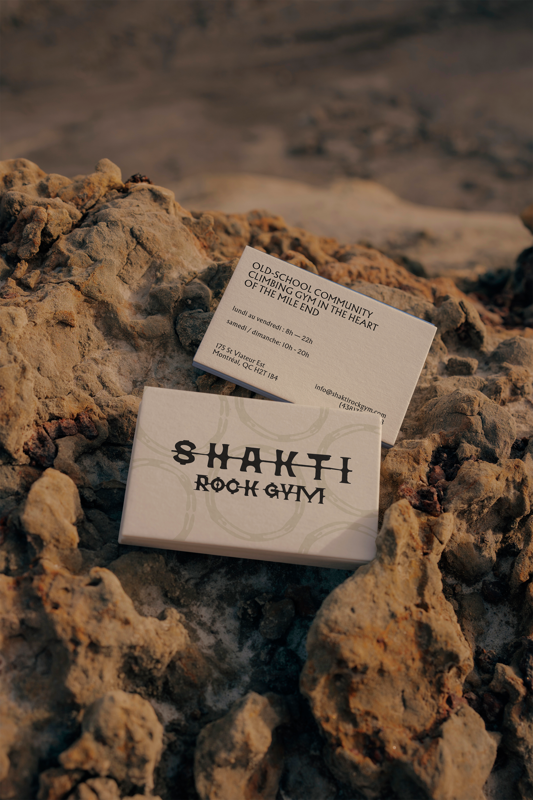 shakti business cards.png