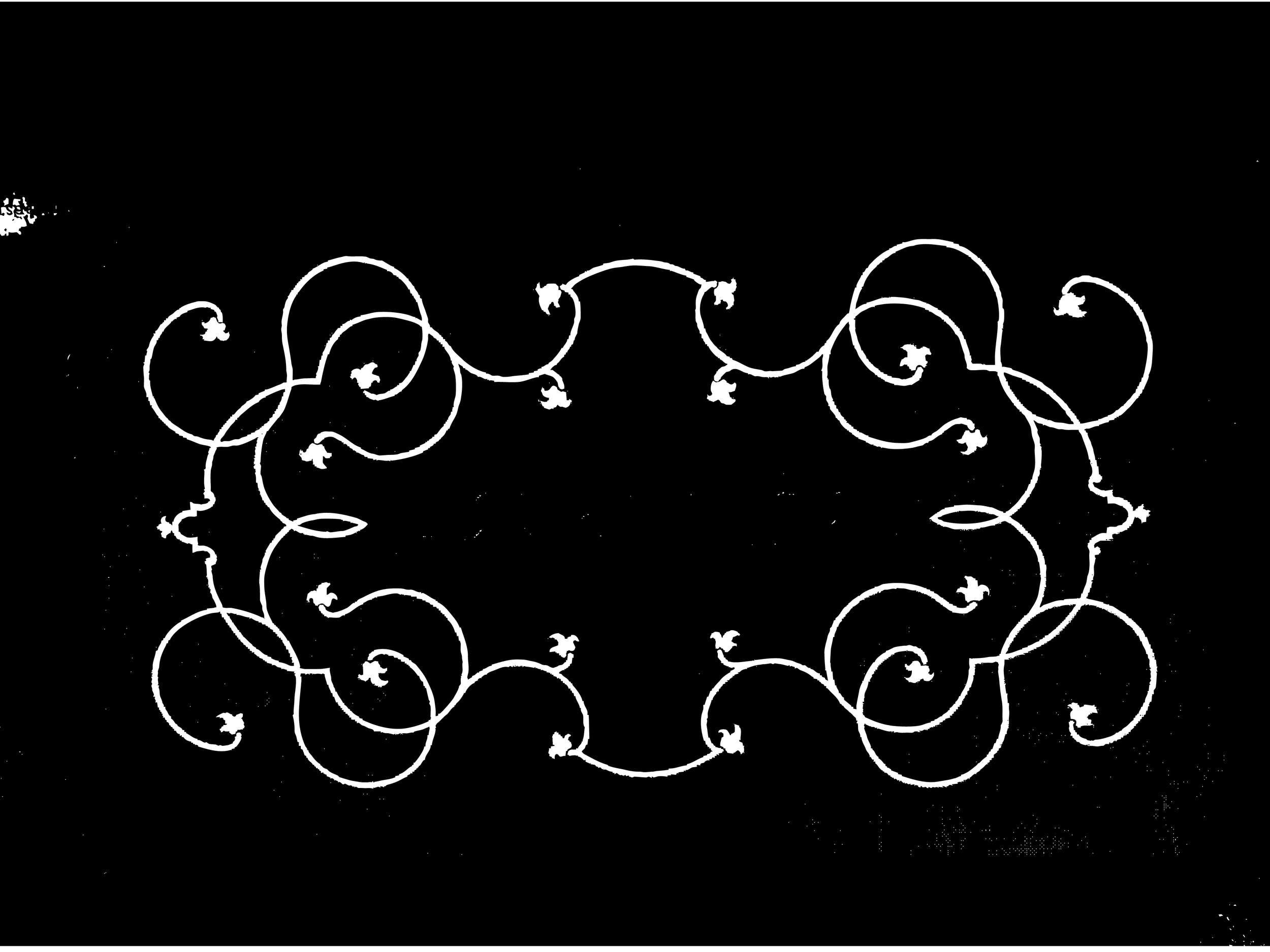 vine border-01.png