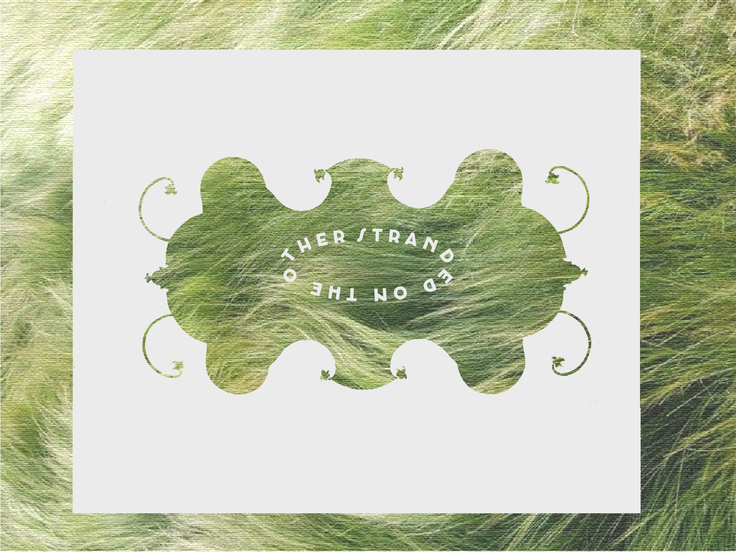 vine border-03.png