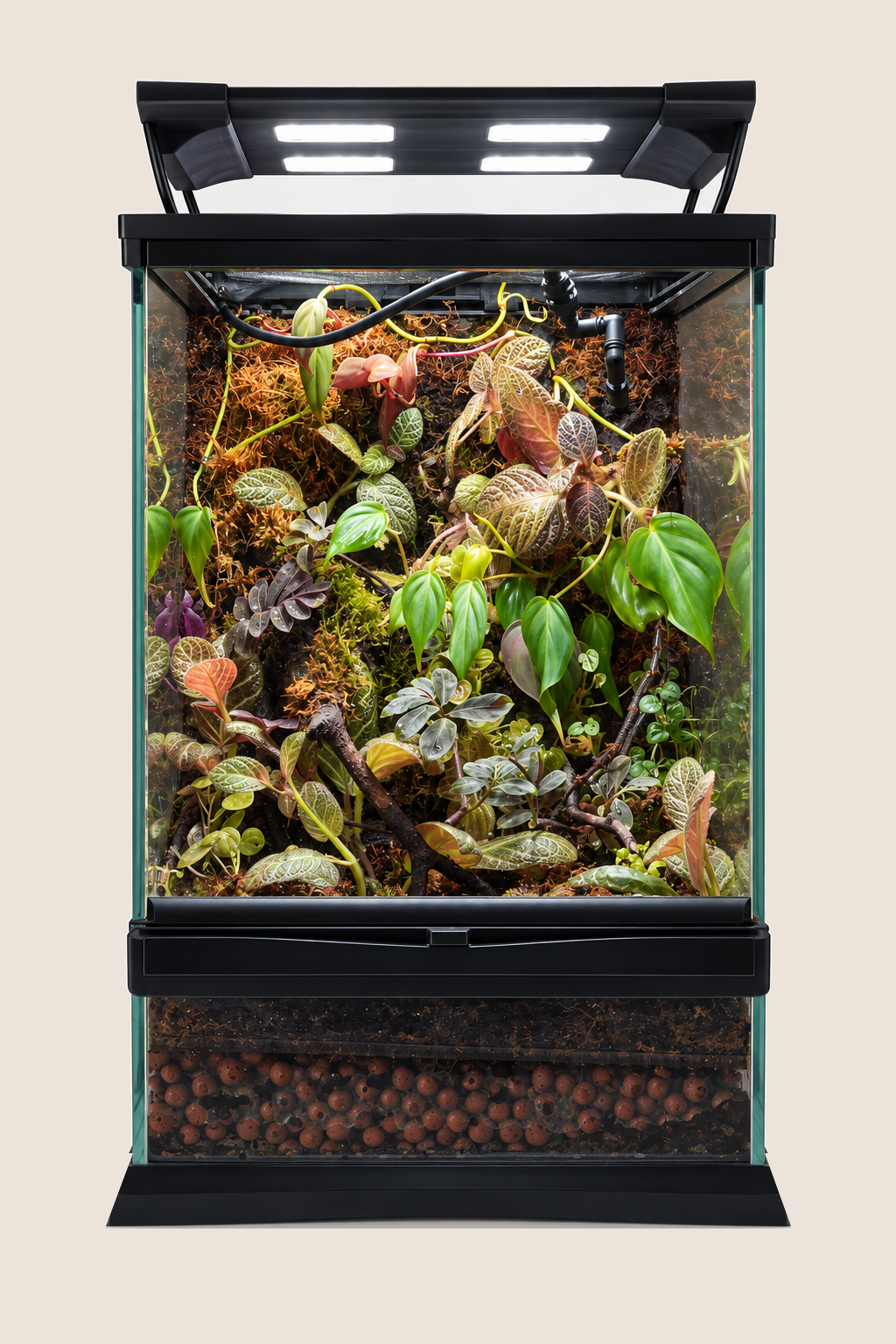 Terrarium HPC21
