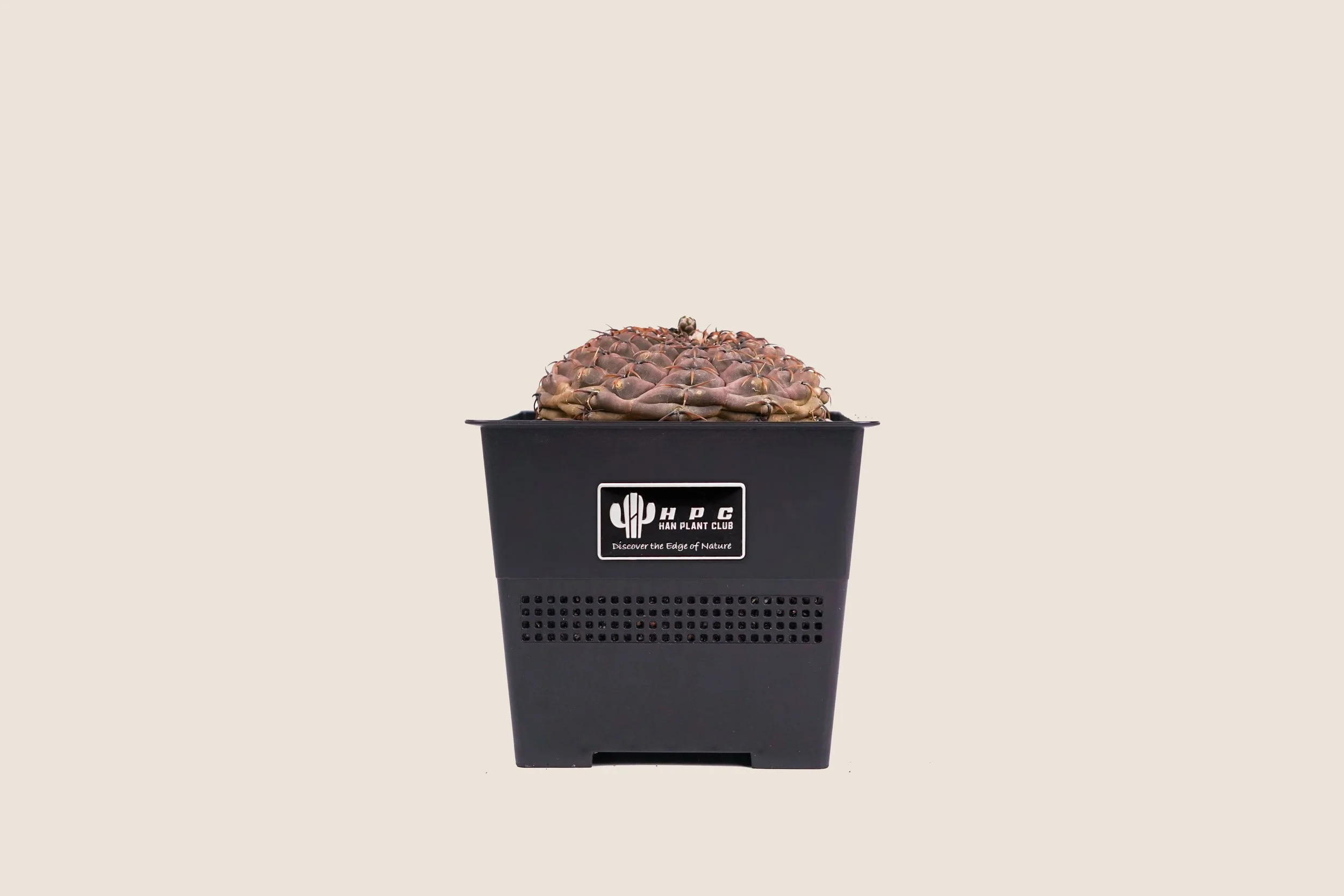 DSC08966-front-ECE3DA-logo-6000x4000.jpg