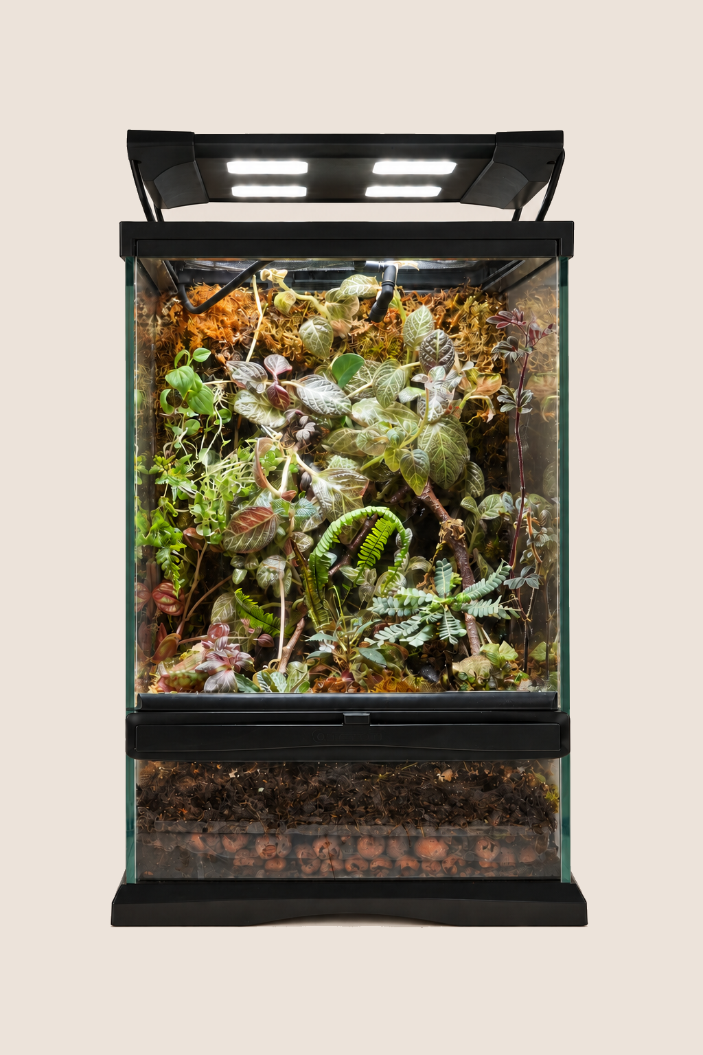 Terrarium HPC23