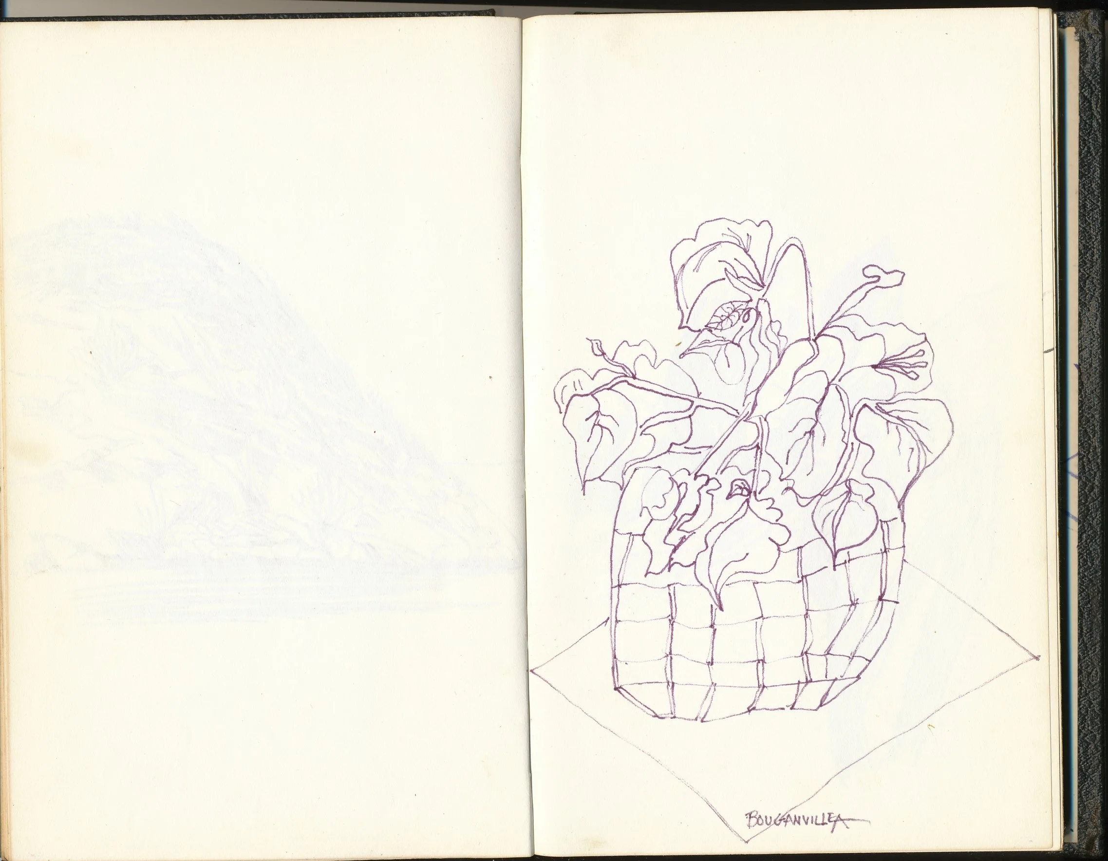196x_mazatlan_045.jpg