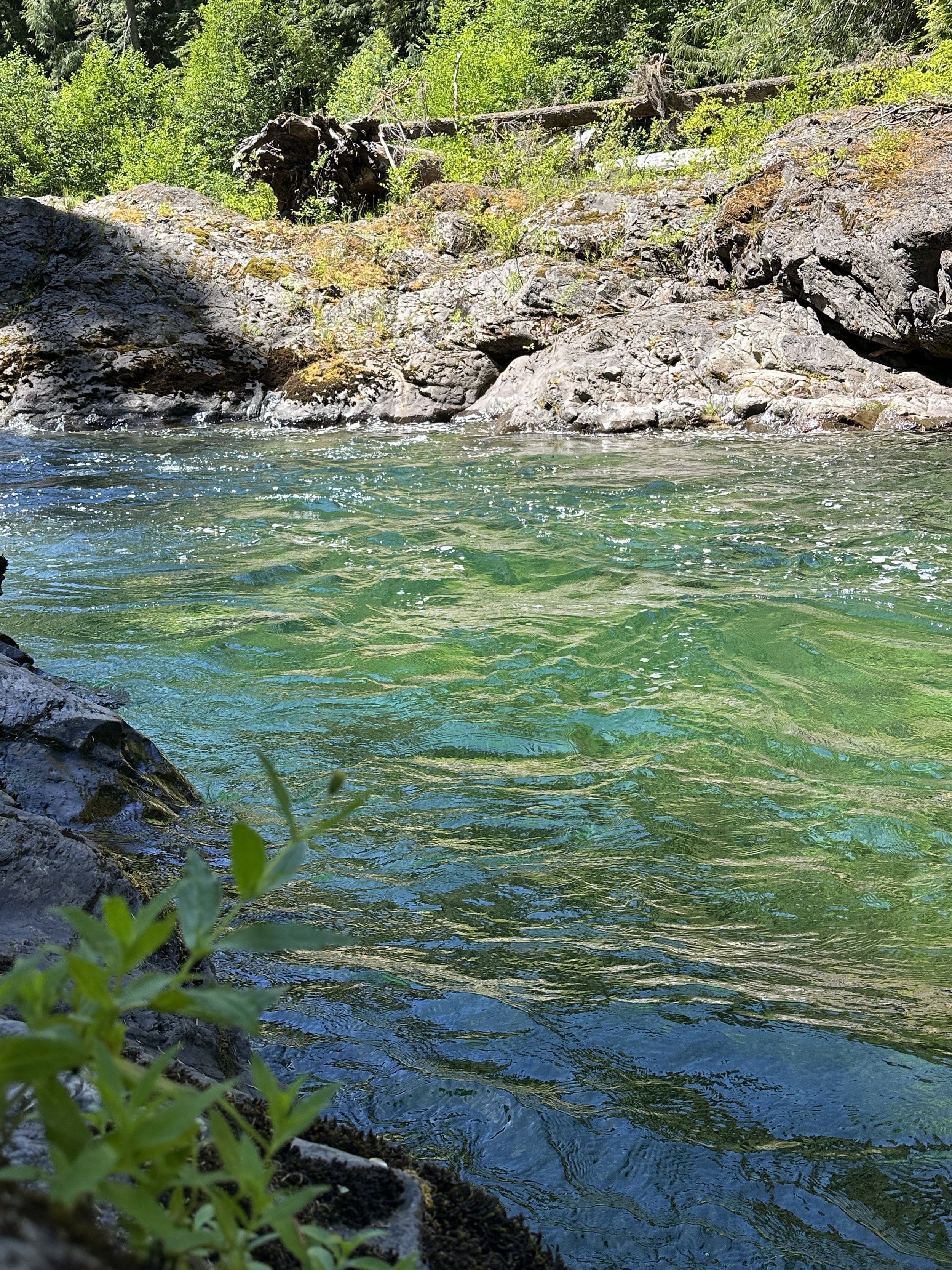 Olympic National Park, 2024